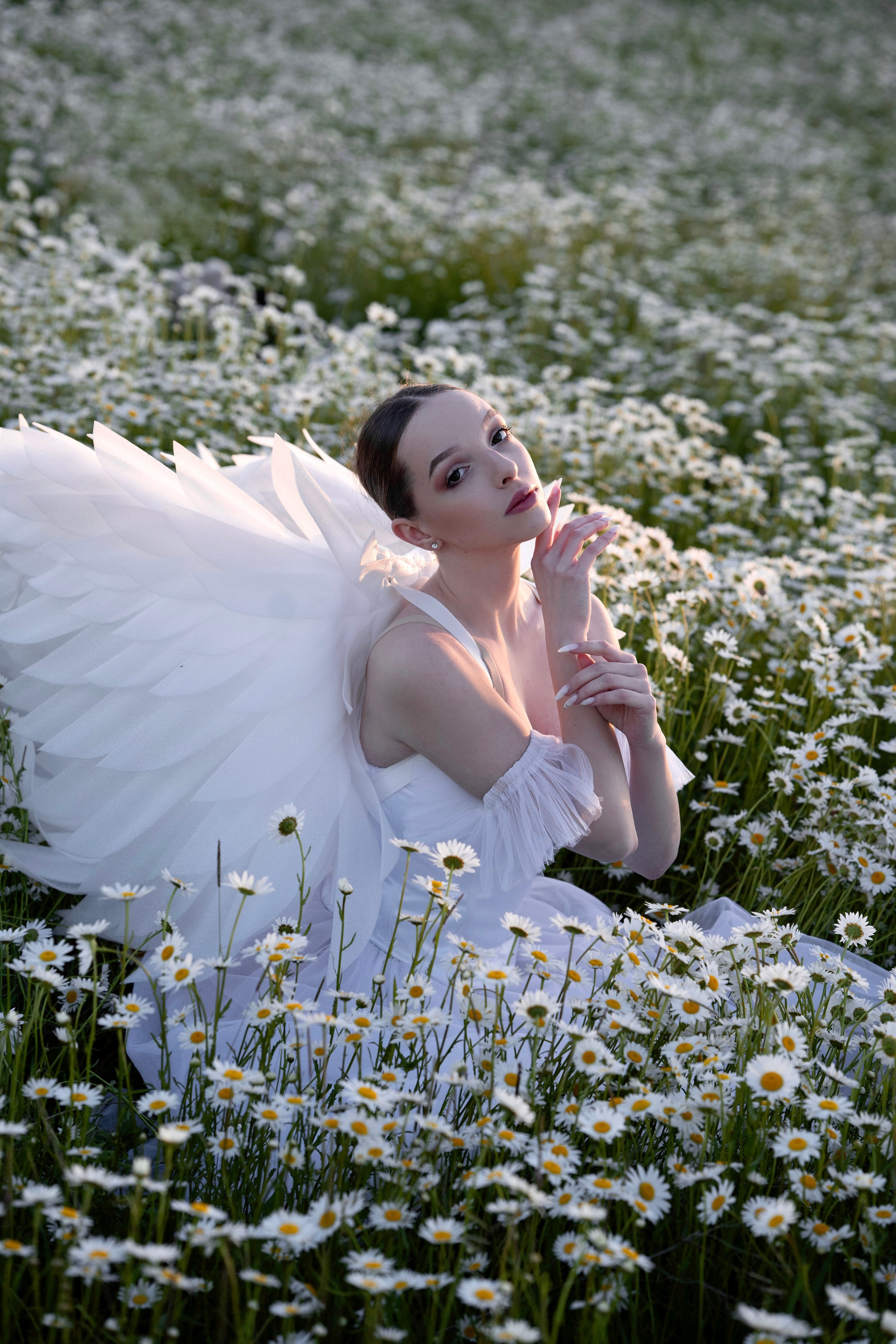 Ромашки. Фотограф в Крыму Лебедева Александра