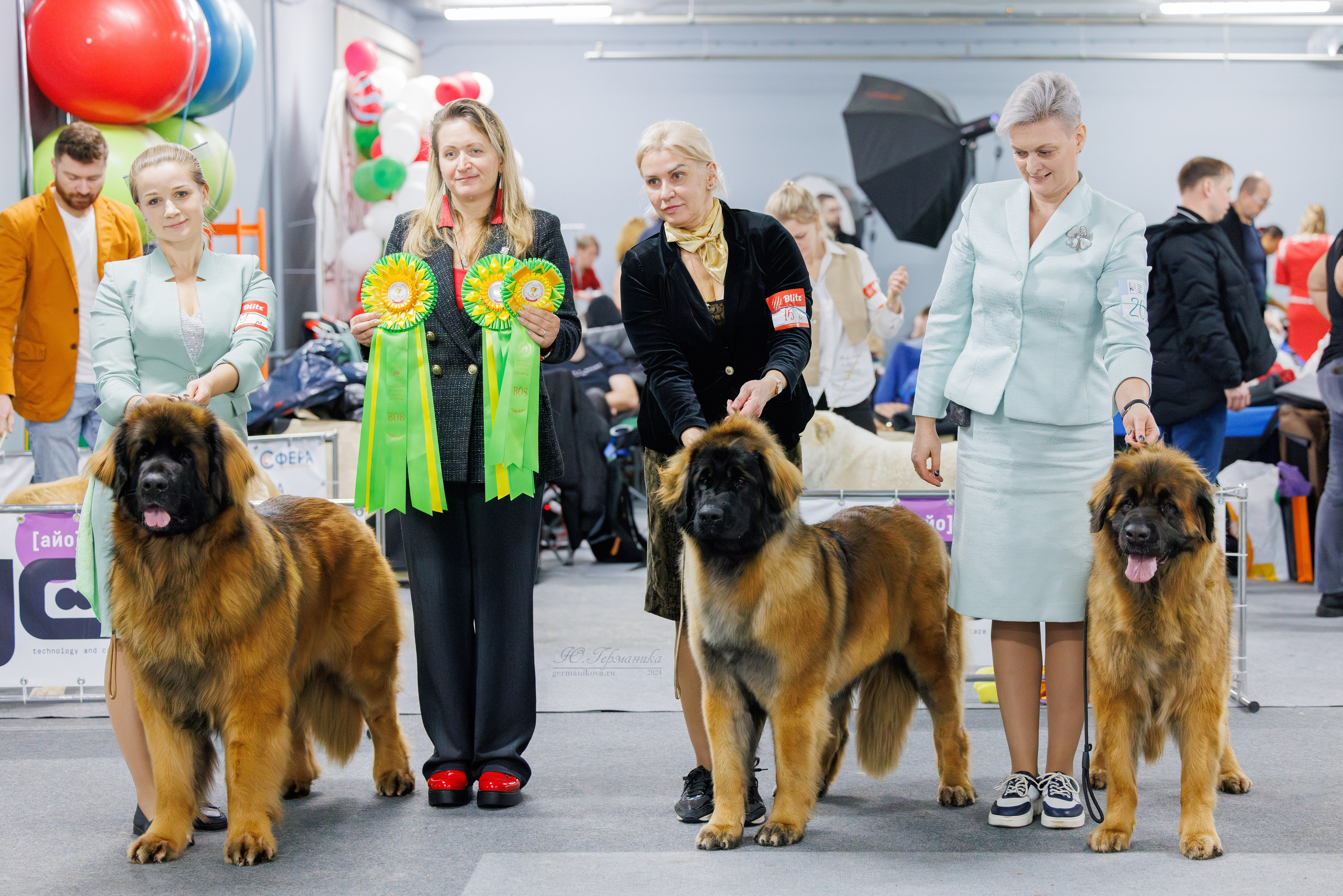 Крокус 21.12.2024,Сфера 29.12.2024. Фотограф-анималист Юлия Германика