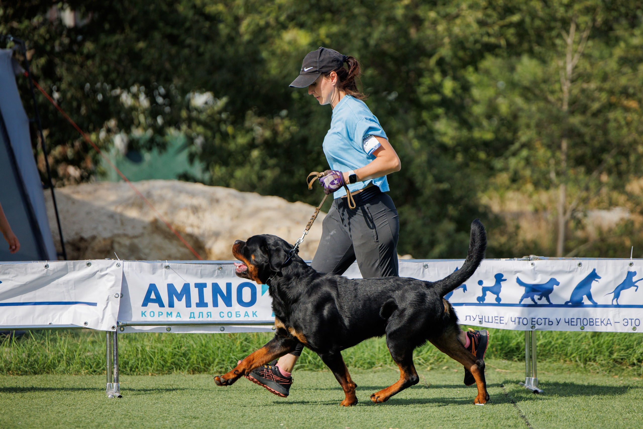 Анапа ротвейлеры 14-15.09.2024. Фотограф-анималист Юлия Германика
