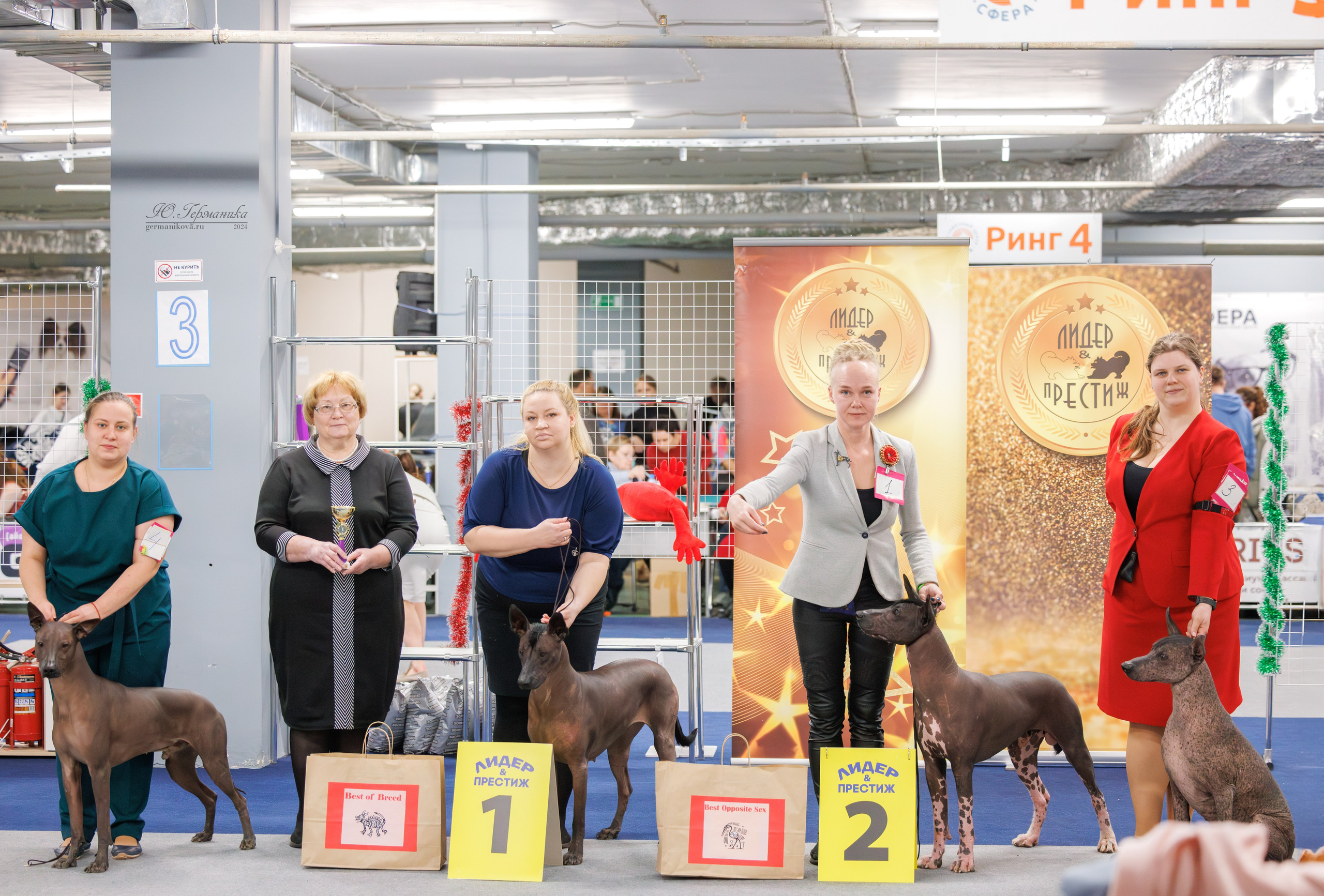 Сфера и Крокус 8,9,16 и 30.03.2025. Фотограф-анималист Юлия Германика