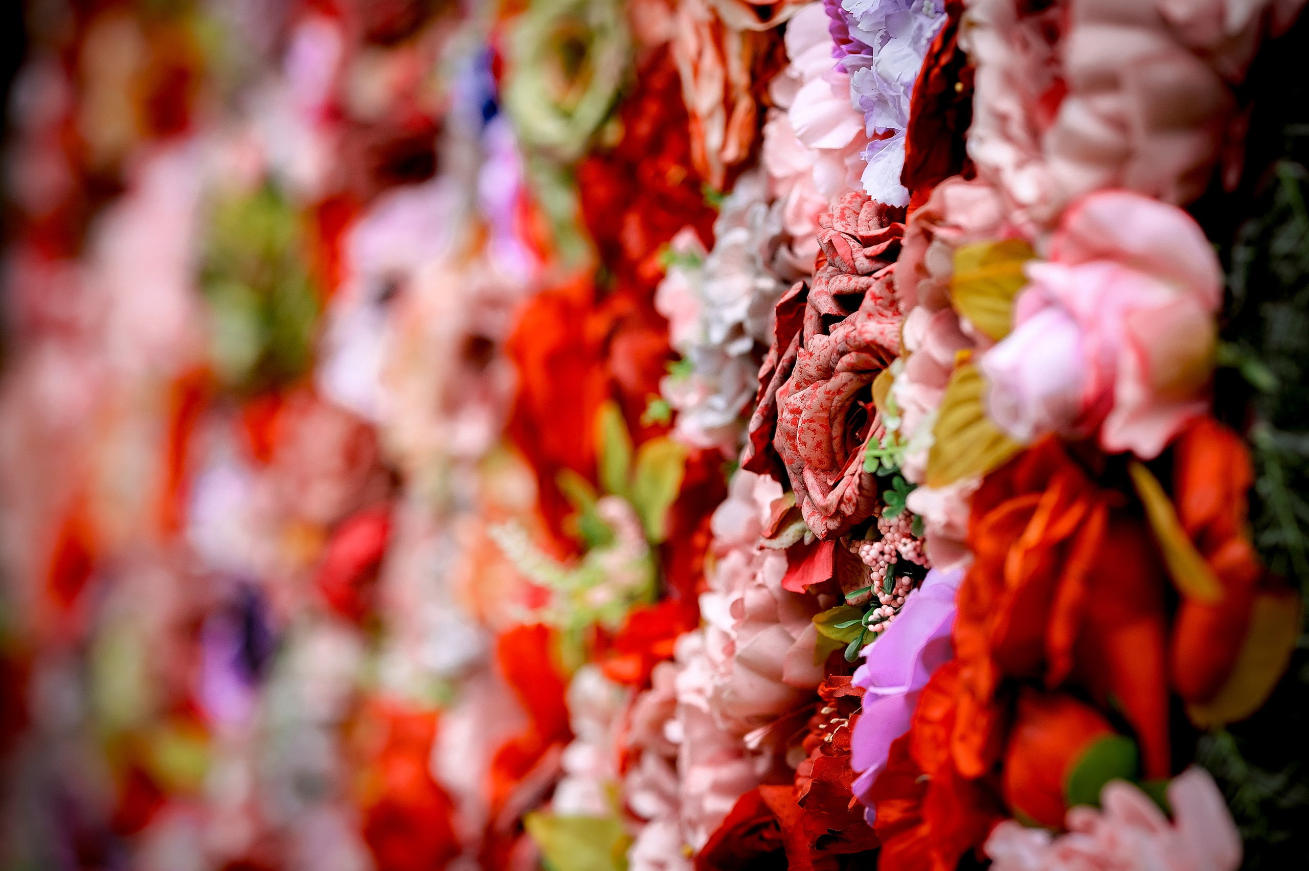 Даша и Егор, Лосино-Петровский. Свадебный и семейный фотограф Виктория Носачёва. Щелково, Москва и МО