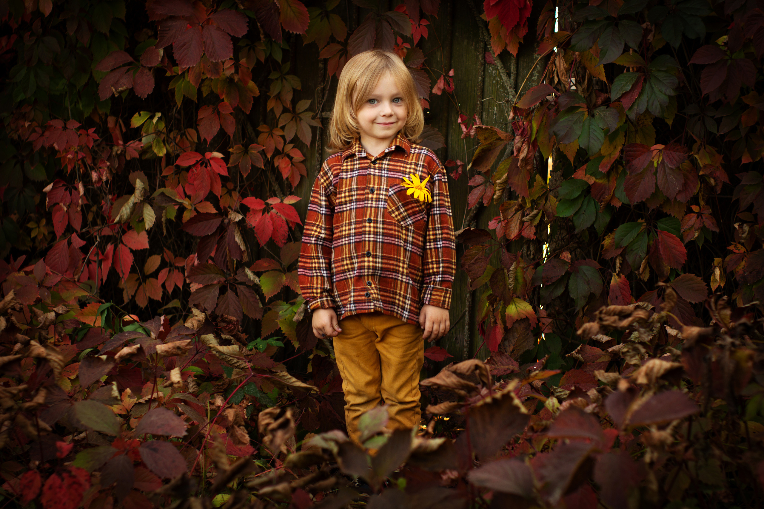 Осенняя фотосъемка. Фотограф в Москве Юлия Карпова