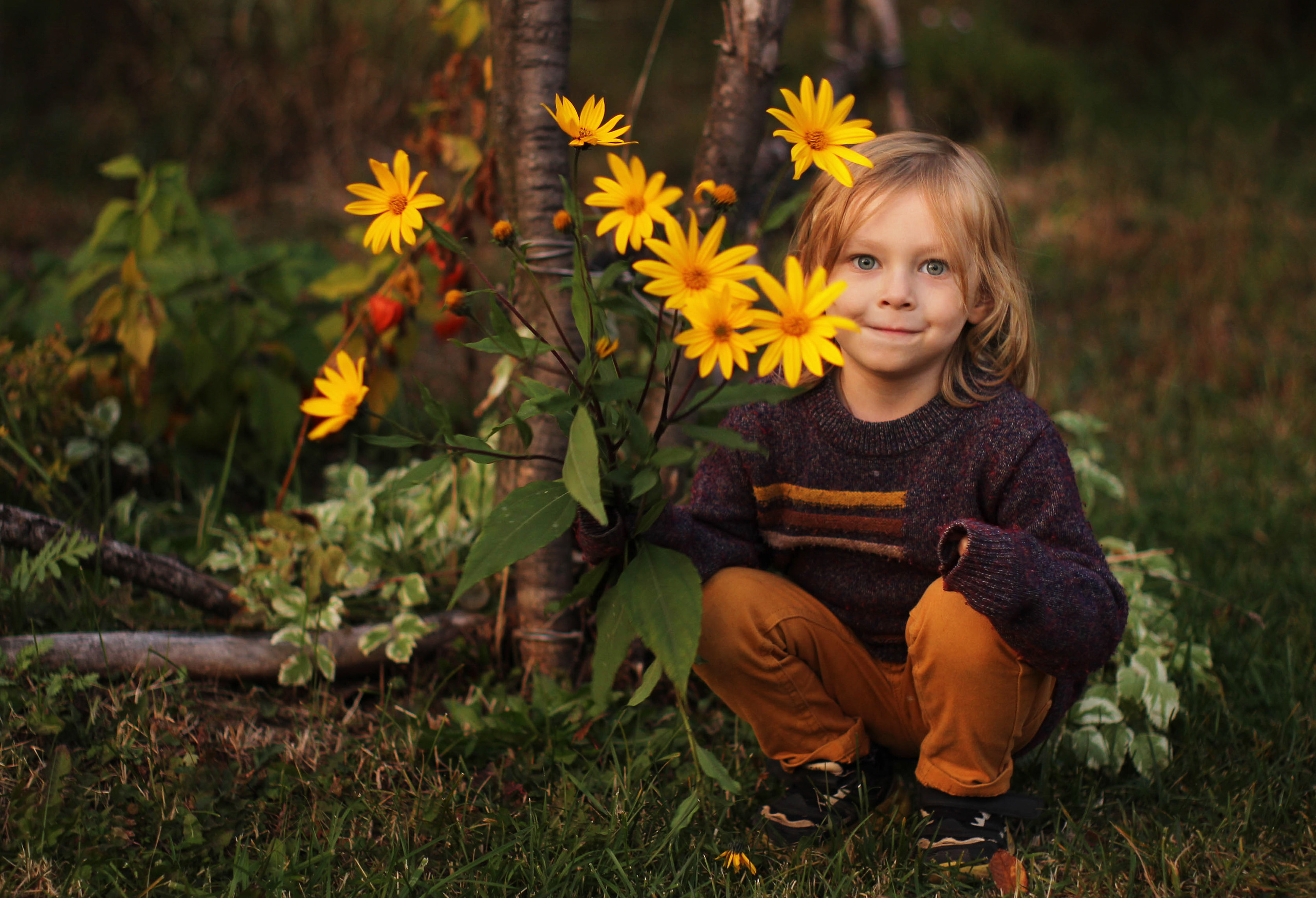Фотопрогулка с жёлтыми цветами. Фотограф в Москве Юлия Карпова