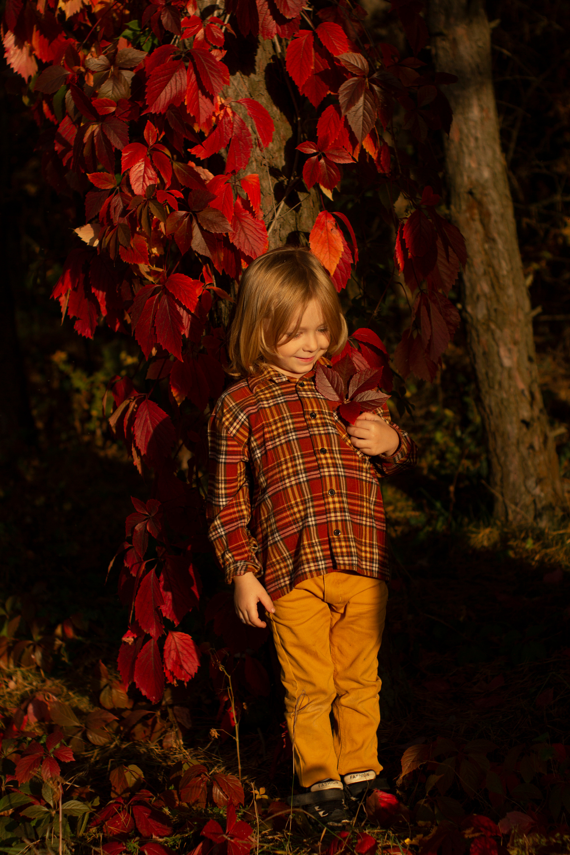 Осенняя фотосъемка. Фотограф в Москве Юлия Карпова