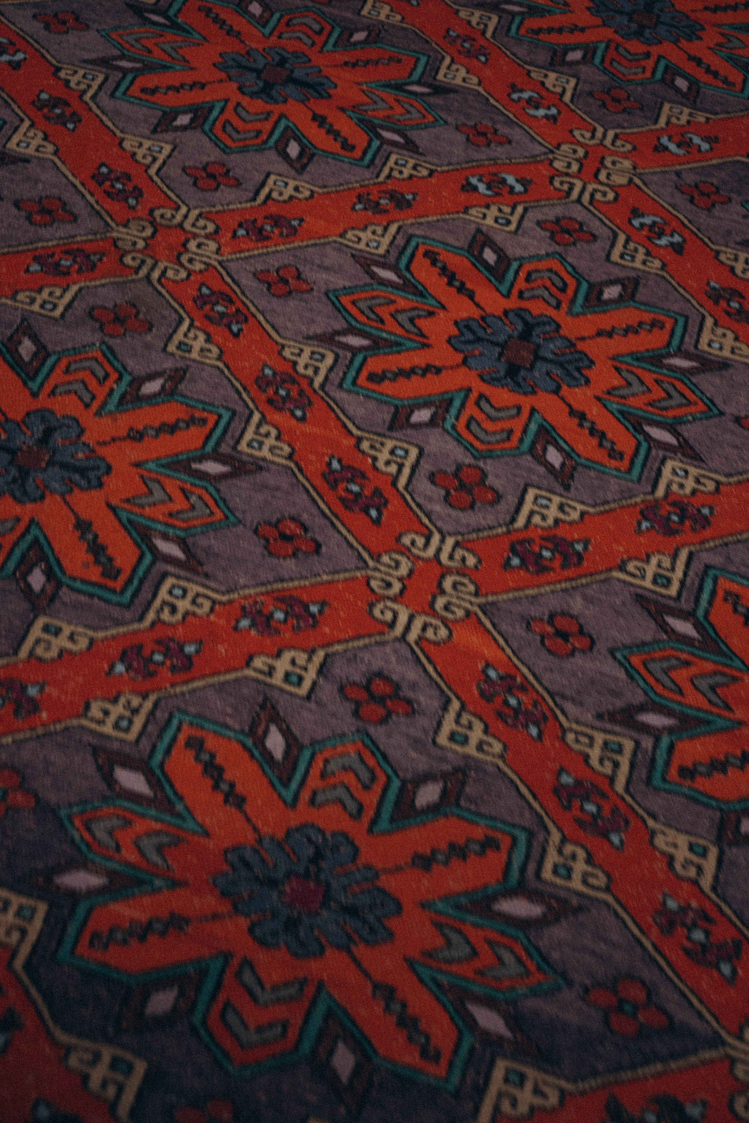 Кавказ. Профессиональный фотограф, Санкт-Петербург — Виктория Богомолова