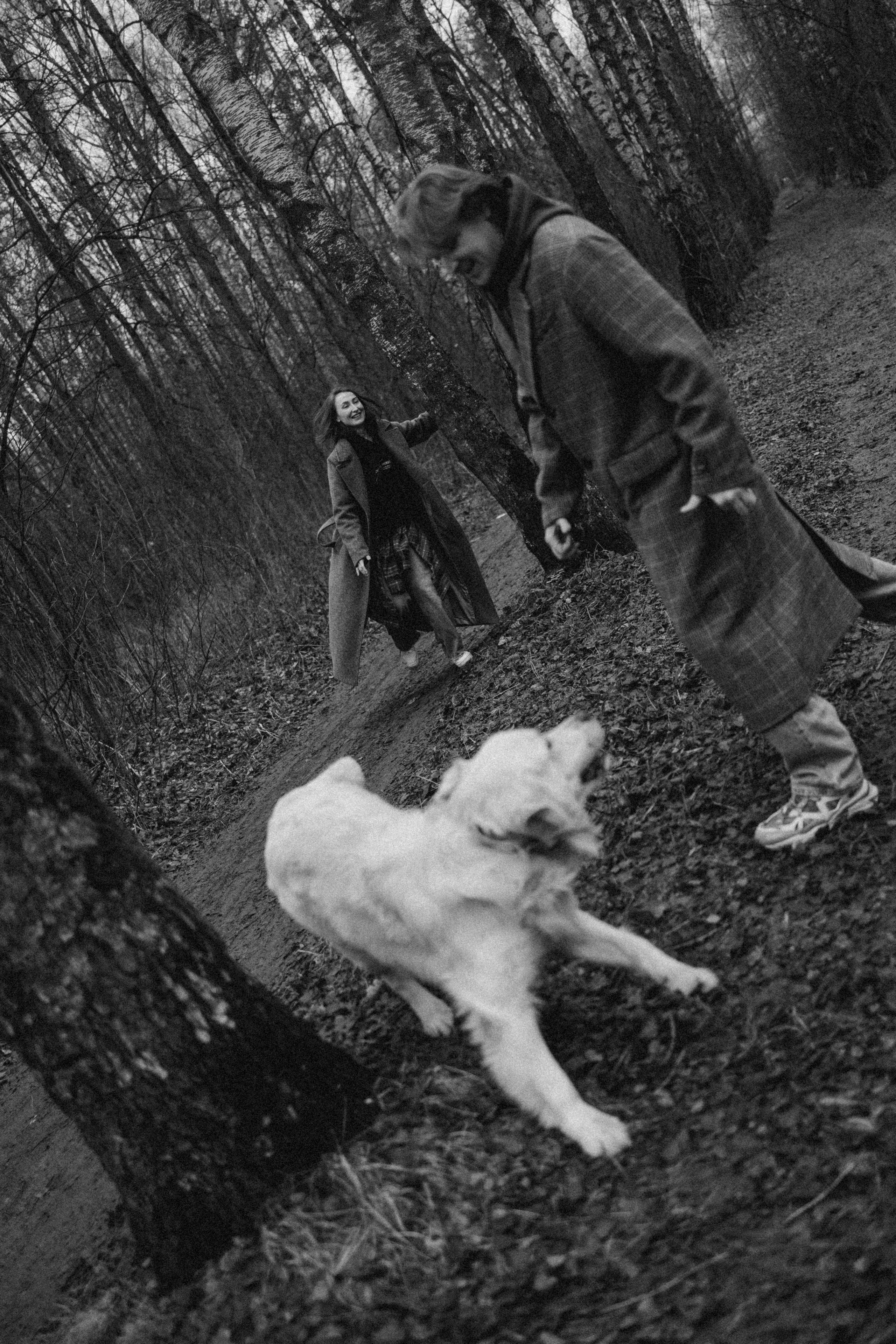 Лаки и его семья. Фотограф — Анималист | Санкт-Петербург