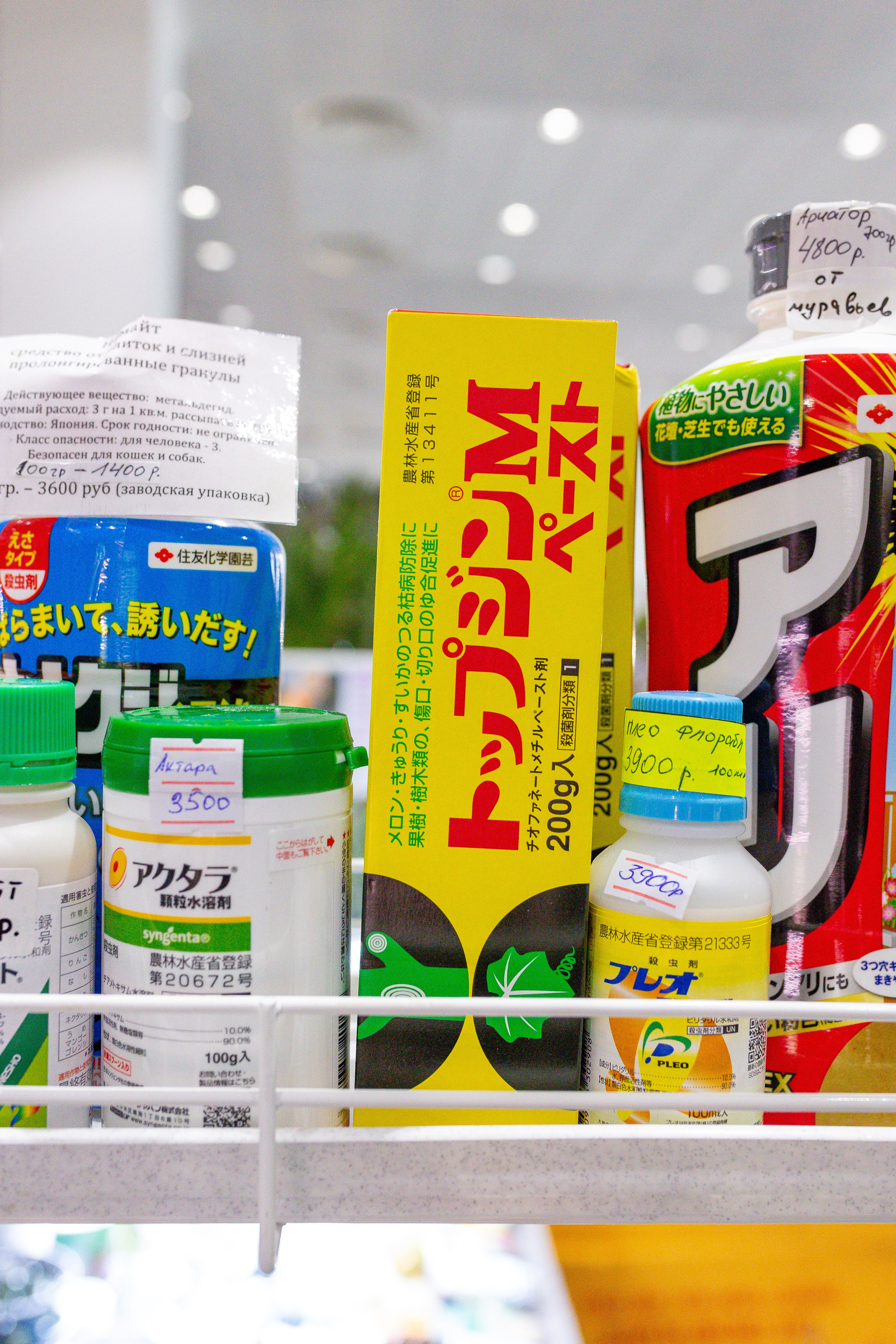 Орхидиум сентябрь 2025. Александра Куликова фотограф, Москва