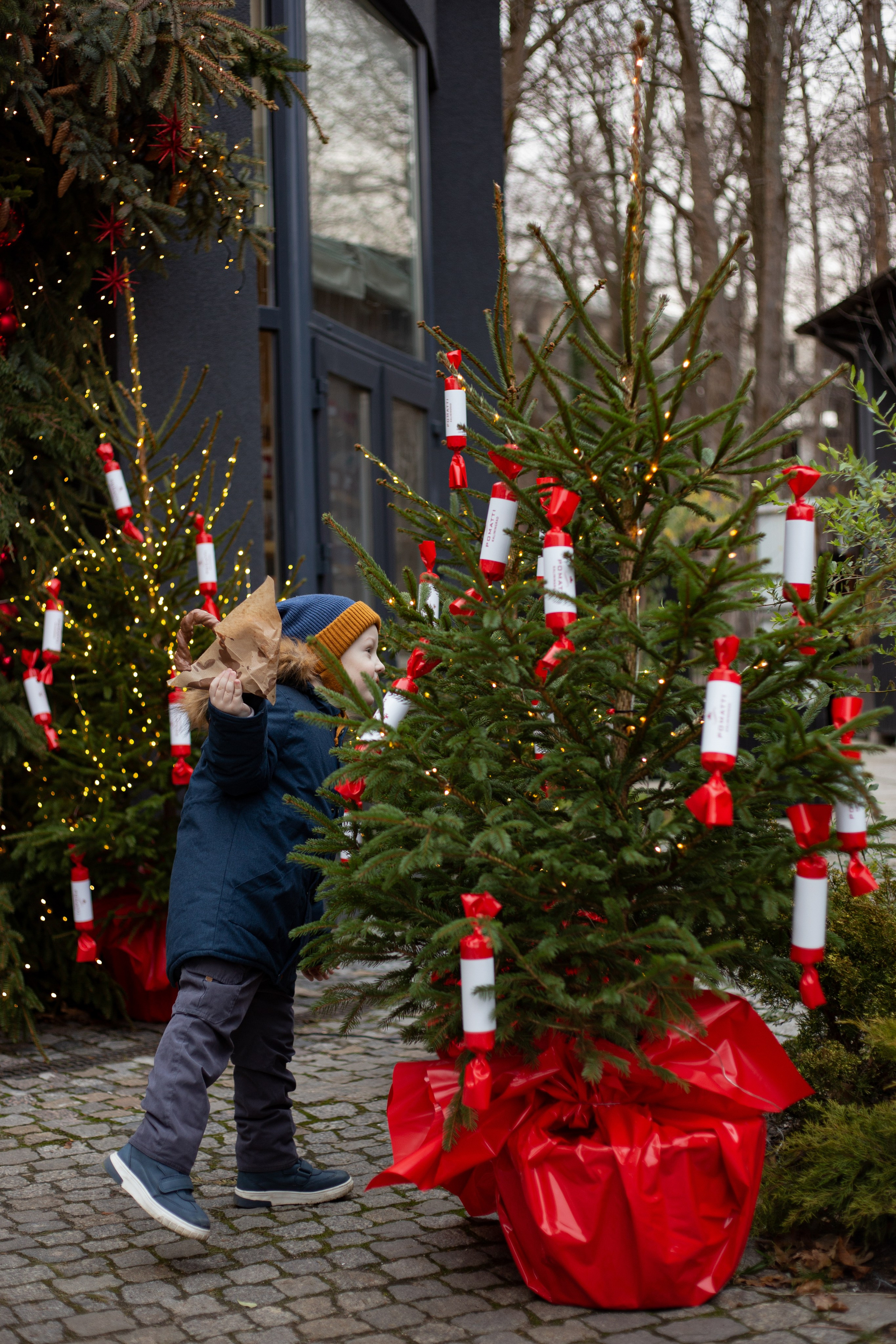 Егор, прогулка по городу Зеленоградск. Https://malovafoto.ru