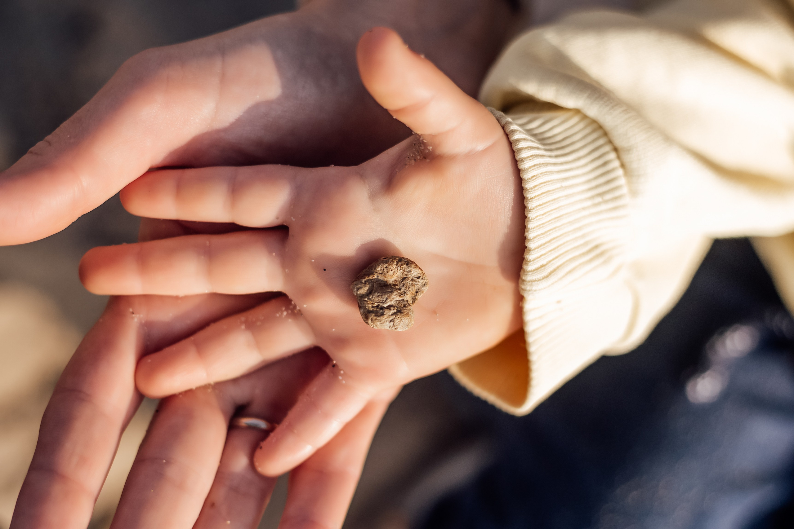 Максим. Https://malovafoto.ru