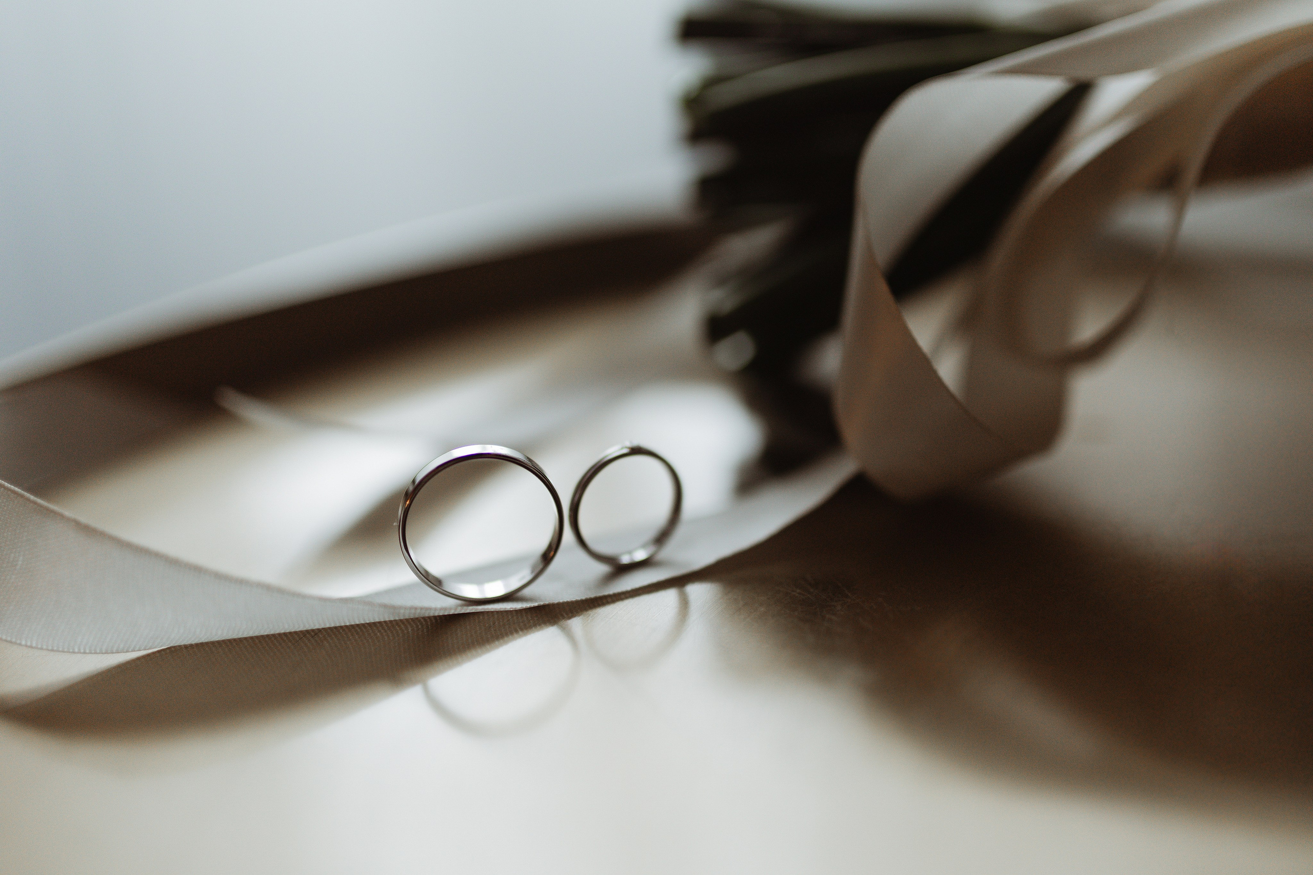 THE GAMMA. Фотограф Александра Просекова