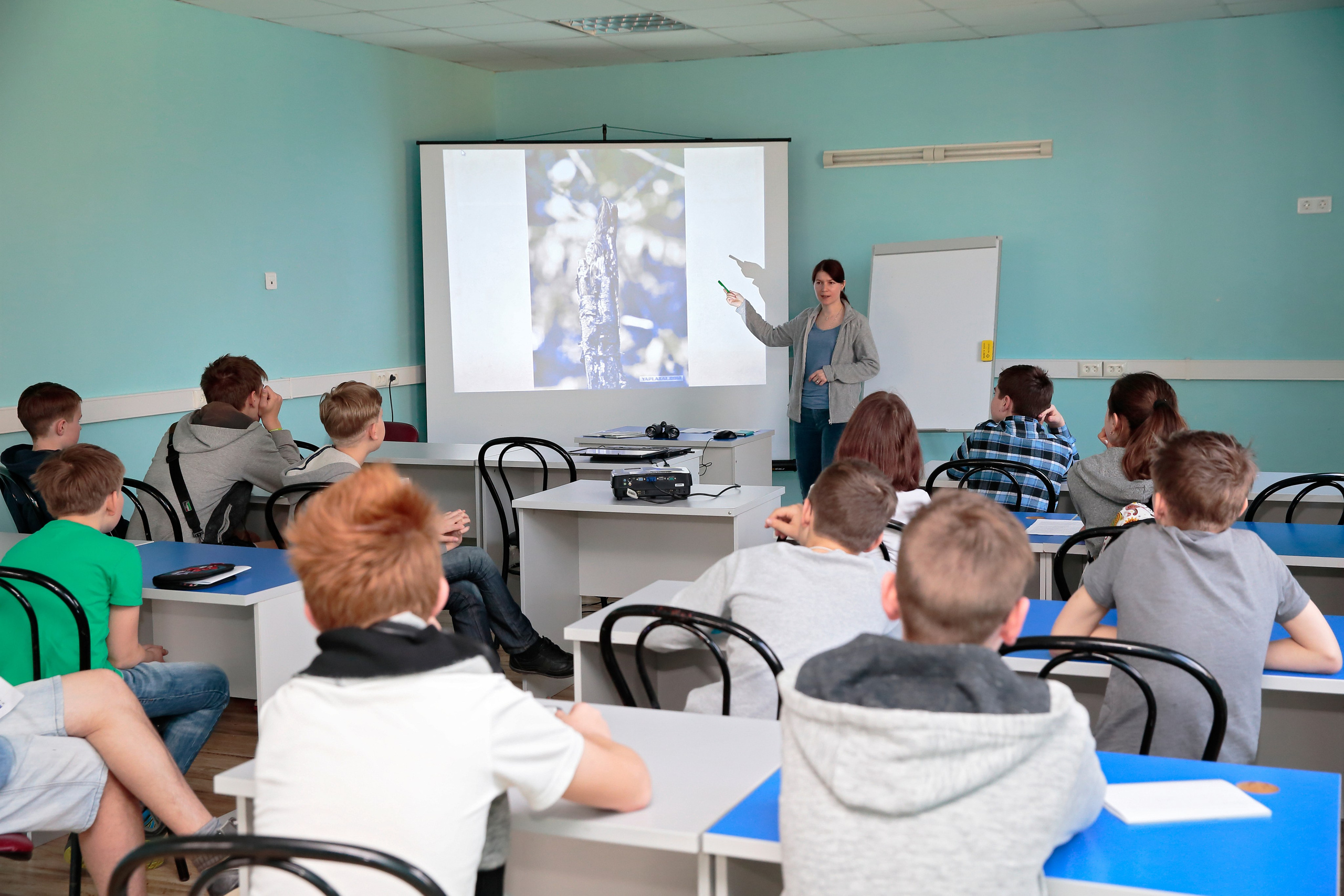 ЛАНАТ 2016. Попов.фото — Предметная фотостудия в Новой Москве