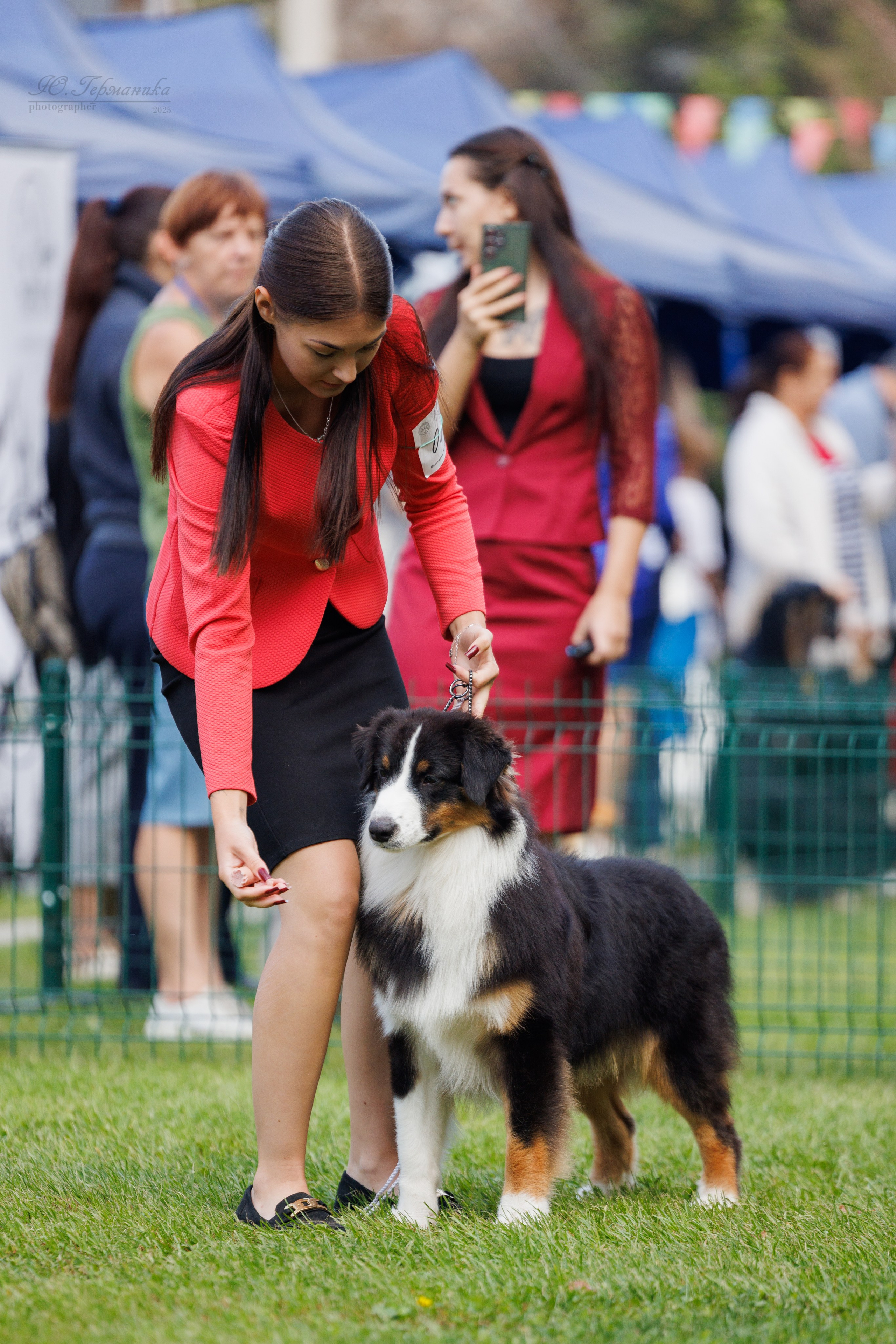 Бишкек 3х CACIB 26-28.09.2025. Фотограф-анималист Юлия Германика