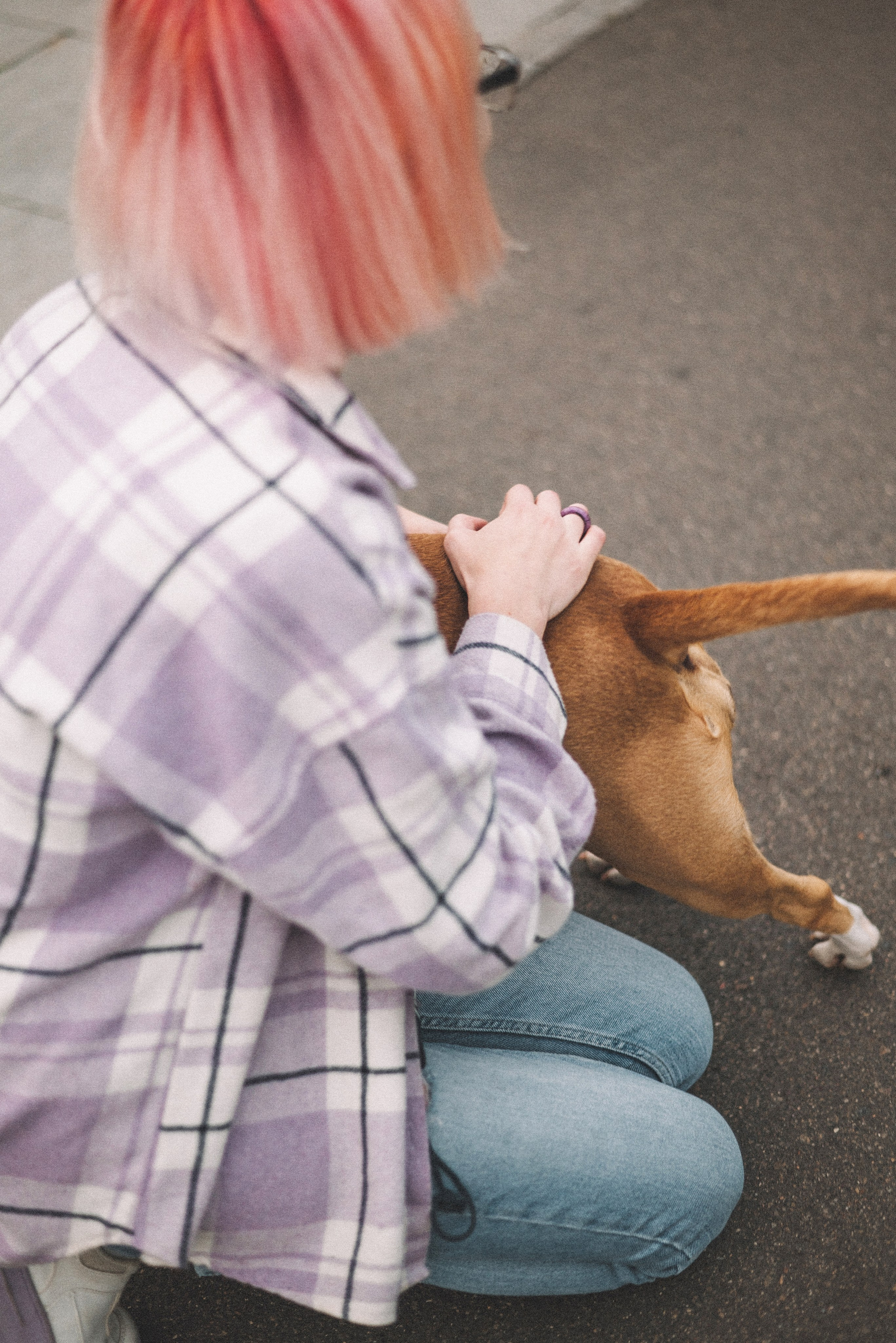 Маша и Рулька. Фотограф-анималист Богданова Полина