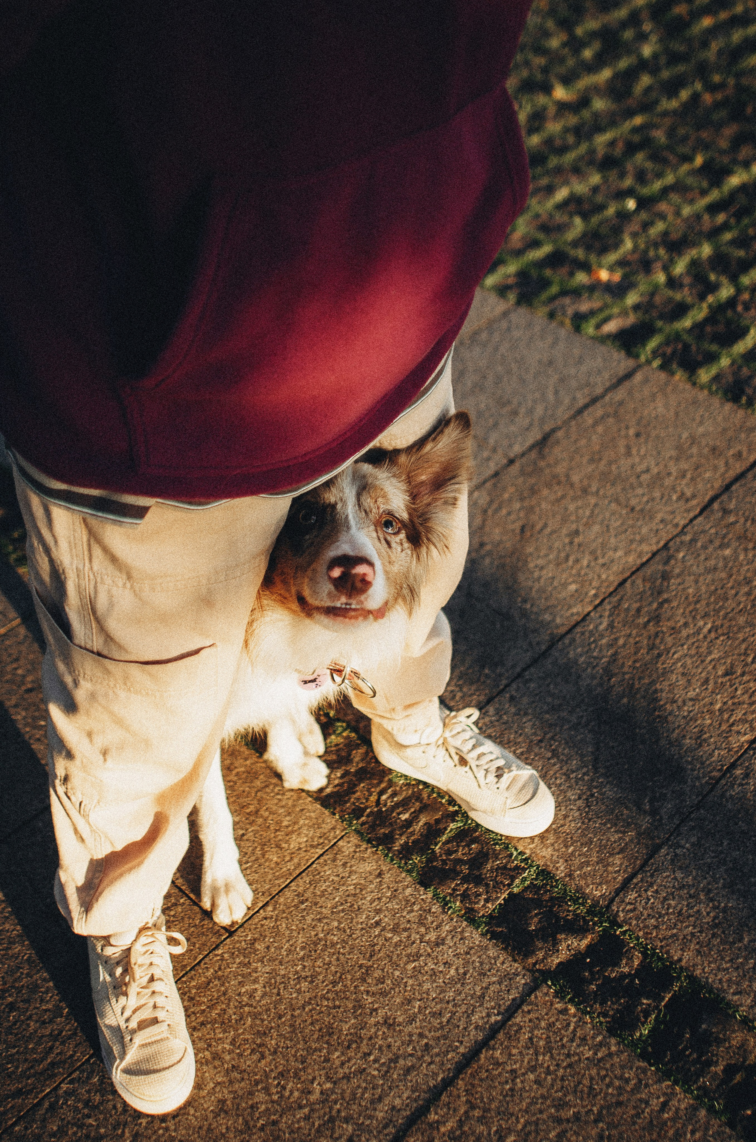 Аня и Дэймон. Фотограф-анималист Богданова Полина