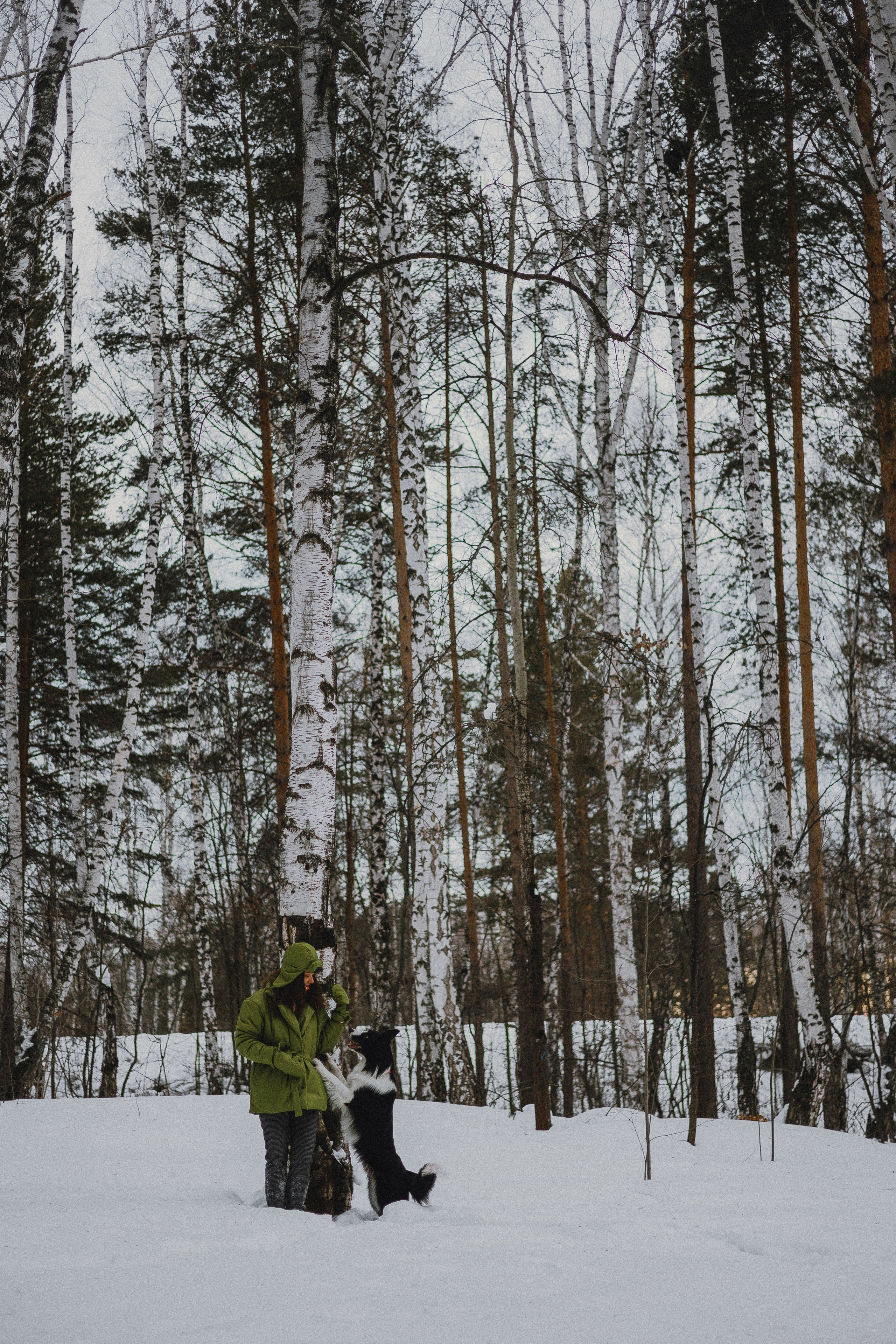 Маша, Рэм и Ньютон. Фотограф-анималист Богданова Полина