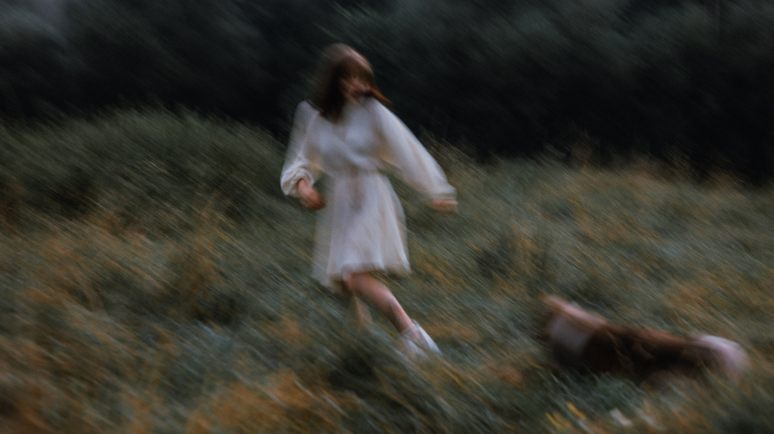 Аня и Скай. Фотограф-анималист Богданова Полина