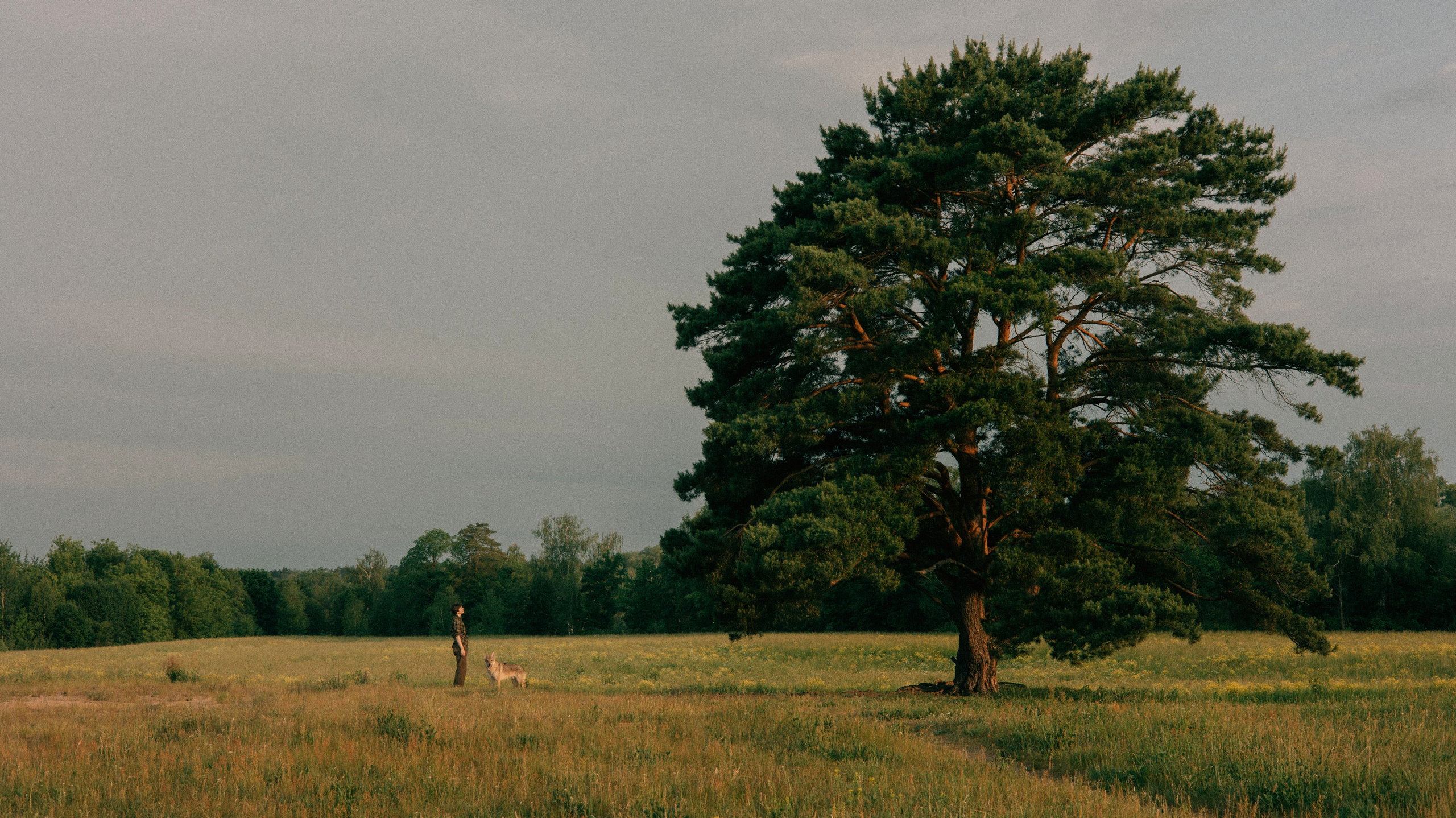 Маша и Дэрил. Фотограф-анималист Богданова Полина