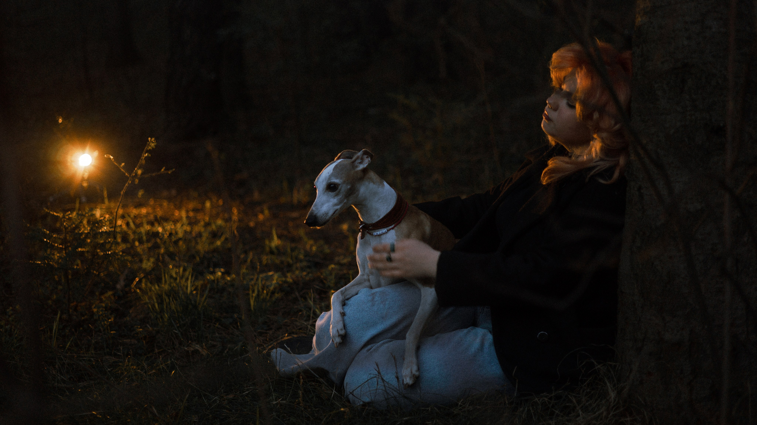 Вика, Джем и Белла. Фотограф-анималист Богданова Полина