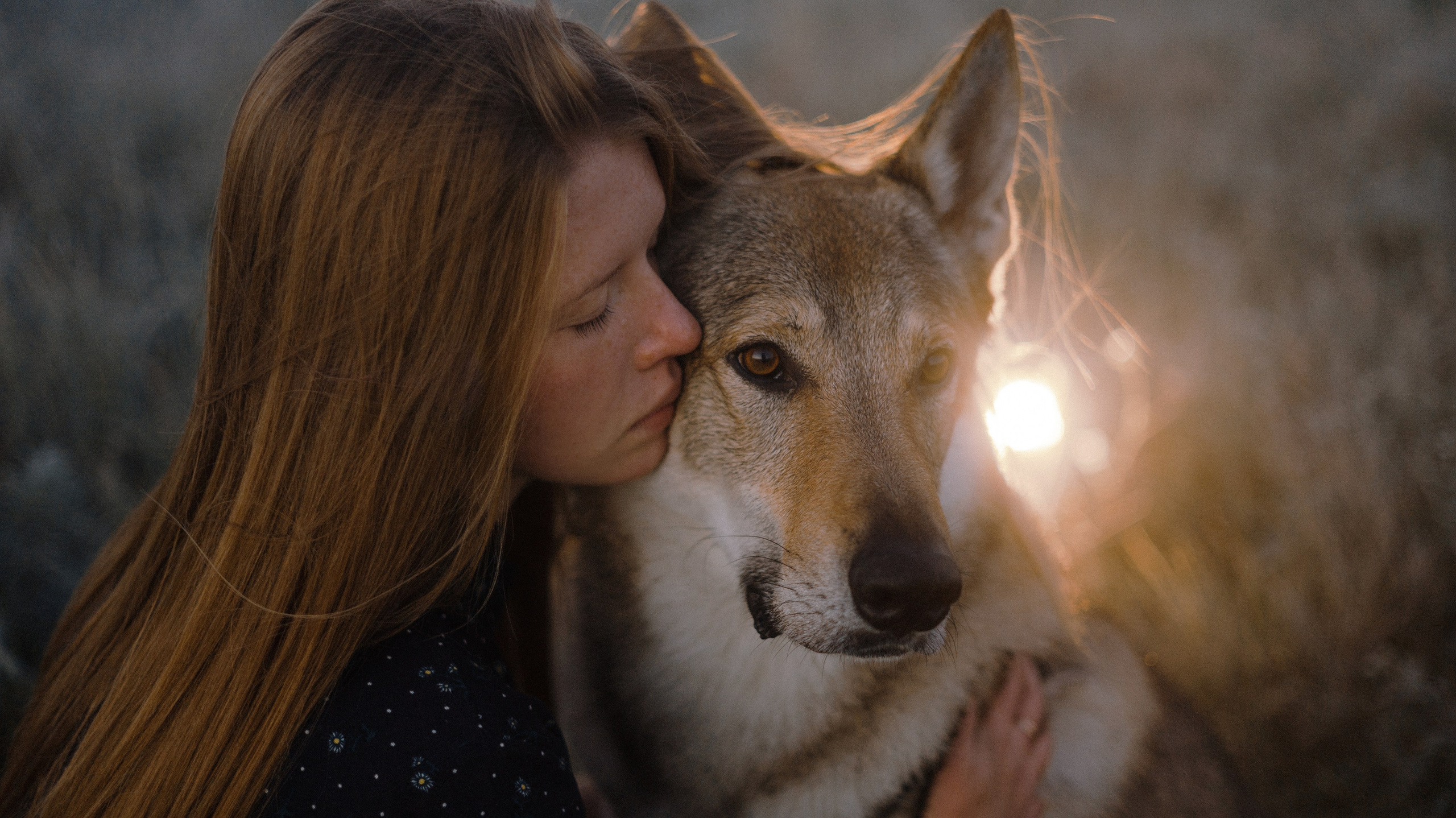 Полина и Вегард. Фотограф-анималист Богданова Полина