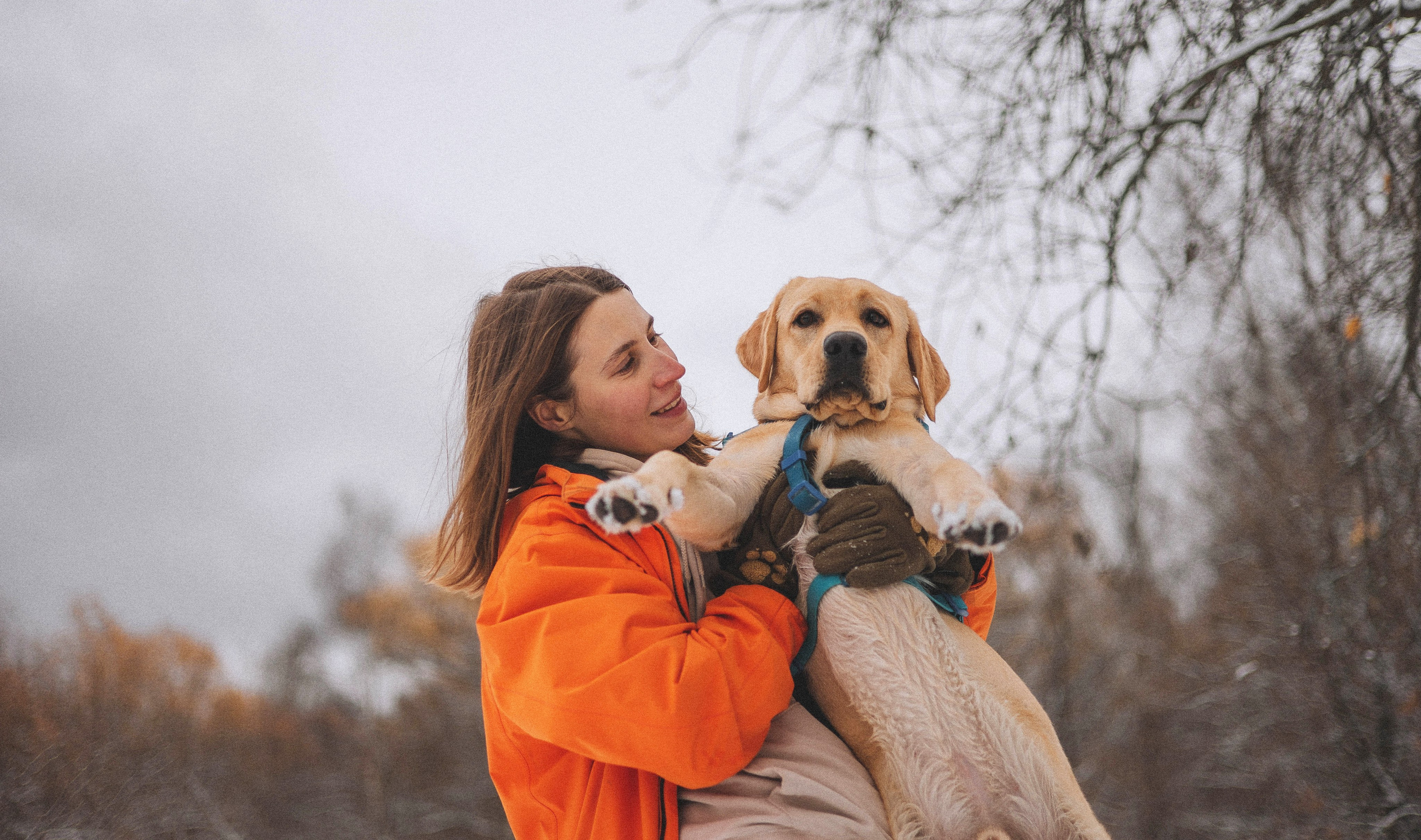 Маргарита и Варди. Фотограф-анималист Богданова Полина
