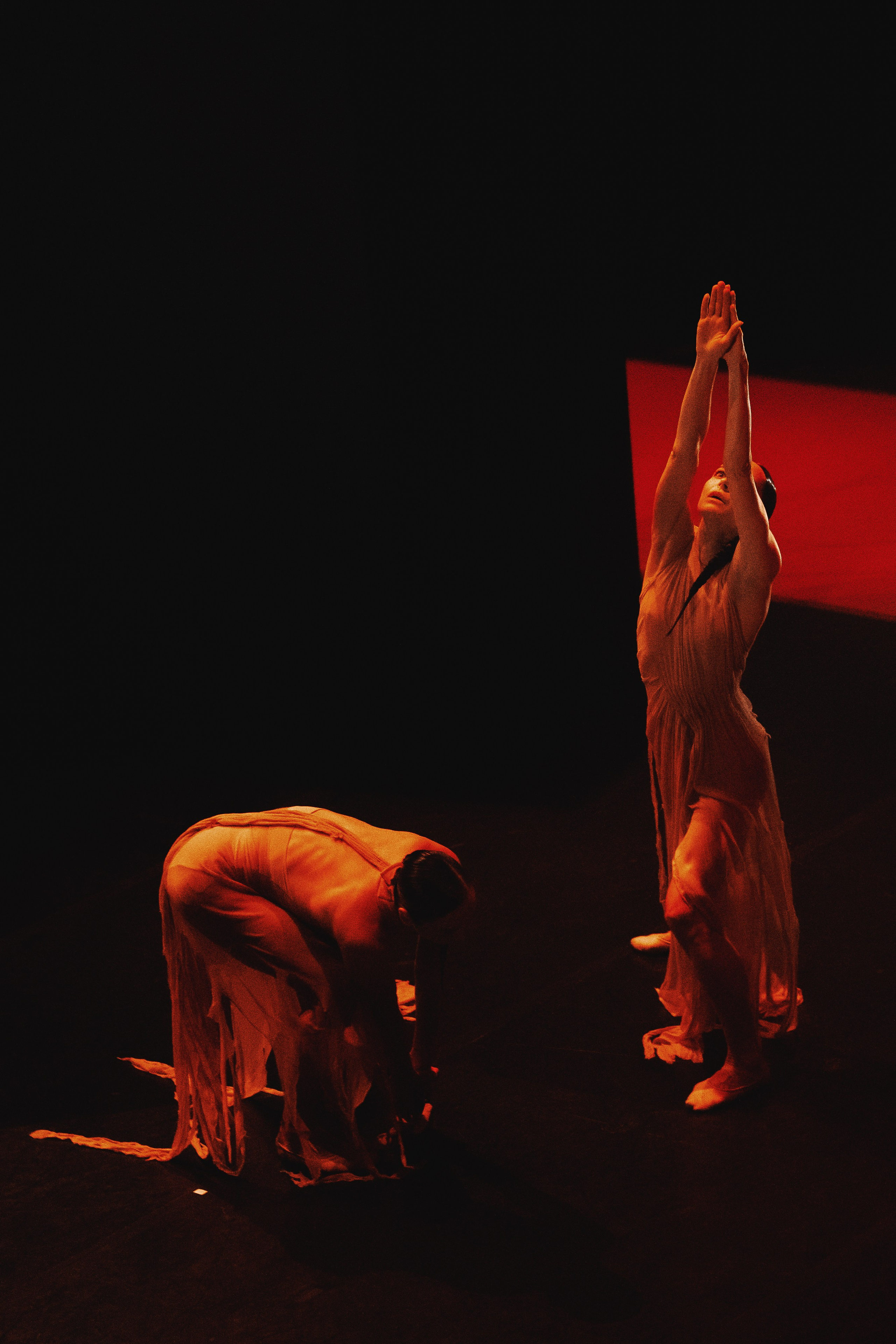 Спектакль Дуо хореографа Павла Глухова. Фото от театрального фотографа Дмитрия Скареднова