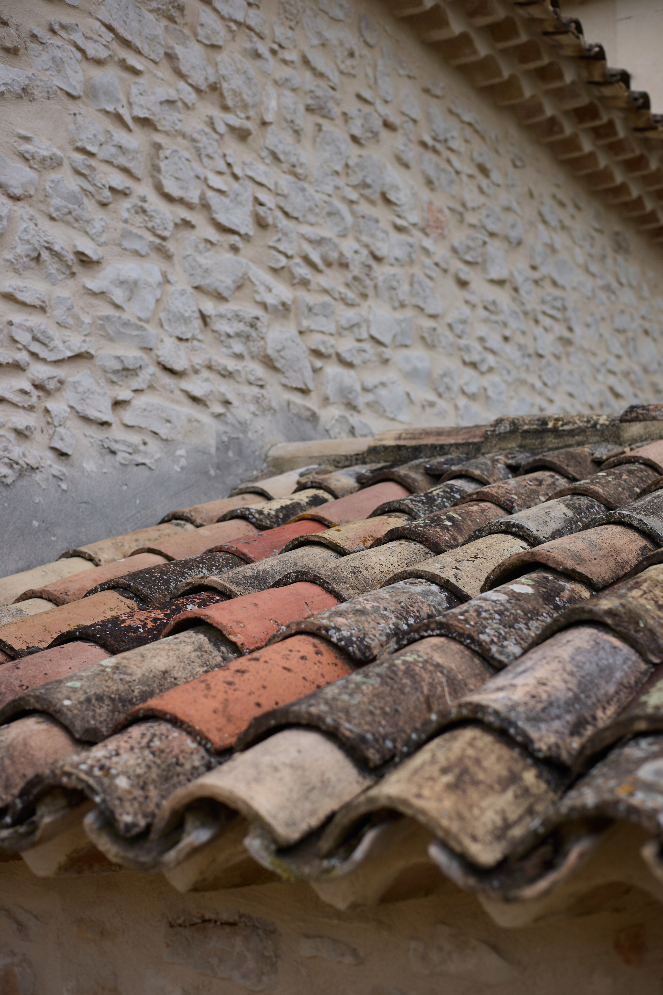 France (Provence & Paris) Sep'25. Анастасия Зобнинá — фотограф в Санкт-Петербурге/СПб