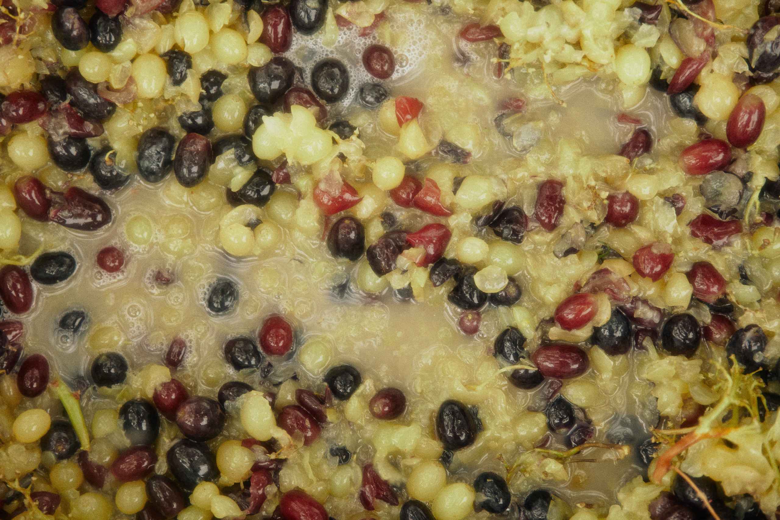 ITALIAN FAMILY. Дмитрий Мазуркевич: Профессиональный Репортажный Фотограф