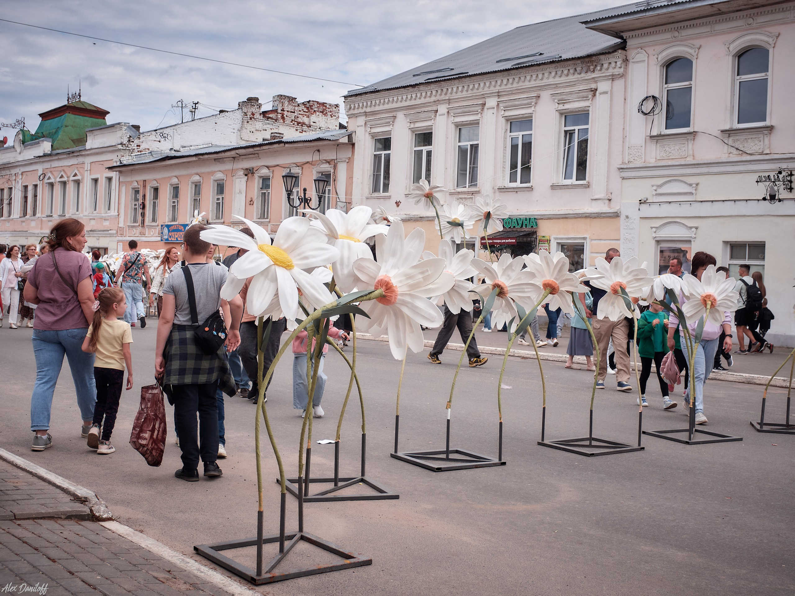 День семьи, любви и верности 2025. Муром-Инфо. Новости культуры, образования, спорта в городе Муром