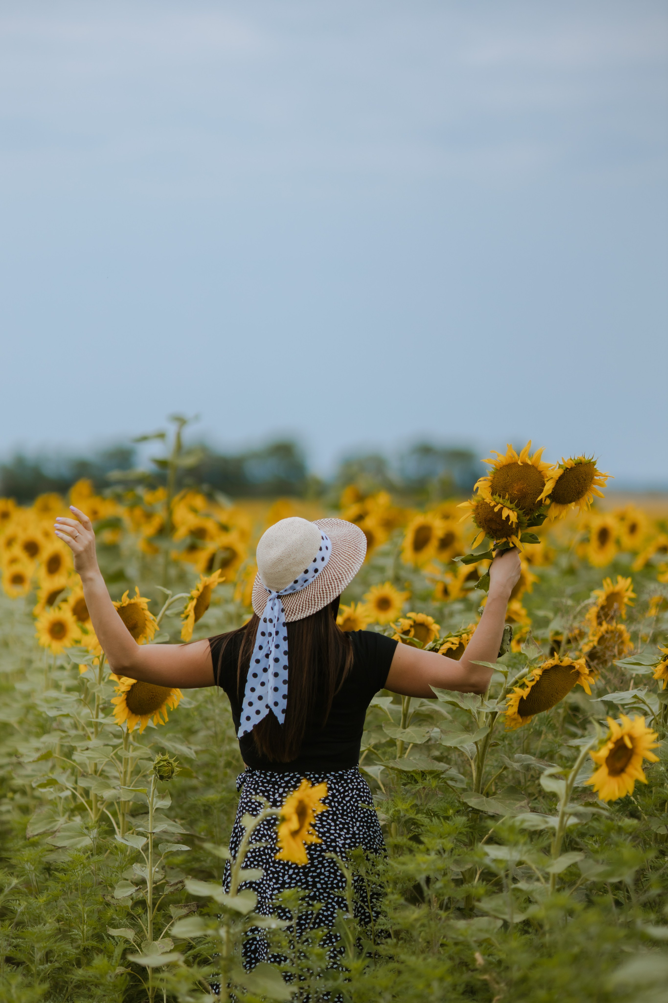 Лето. Профессиональный фотограф и видеооператор