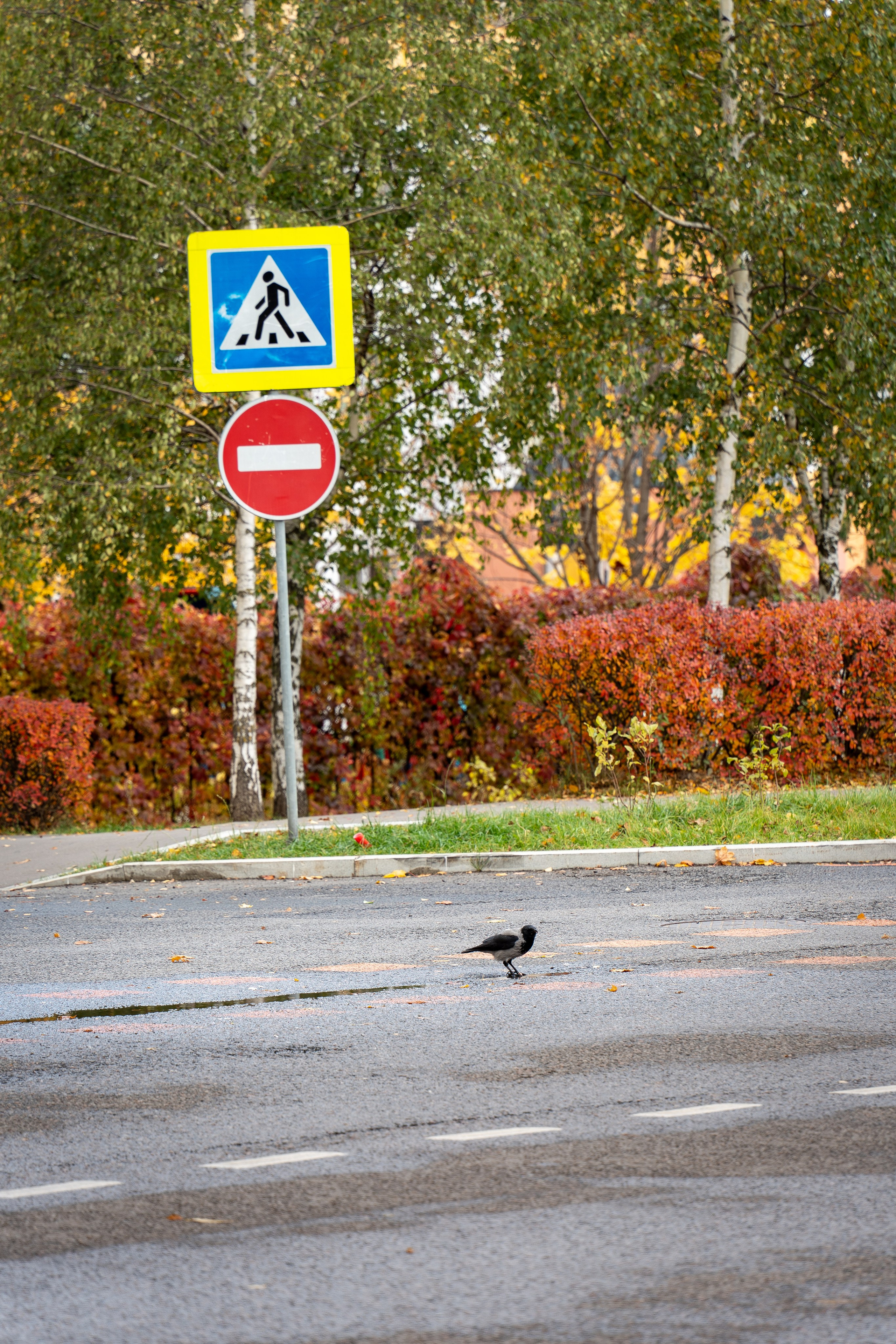 20251012 МГУ. Дмитрий Ремизов. Фотография, как хобби