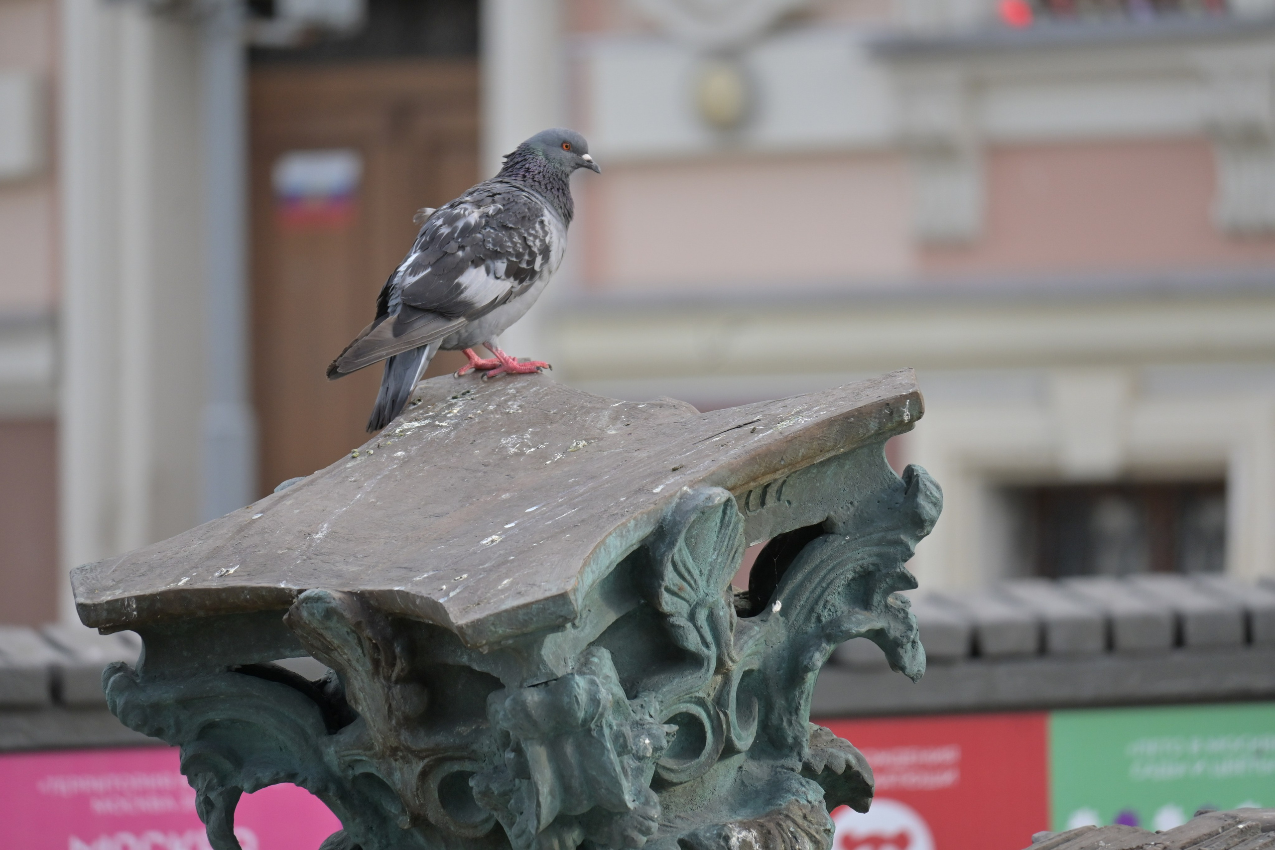 20240720 от Сретенского бульвара до площади Революции. Дмитрий Ремизов. Фотография, как хобби