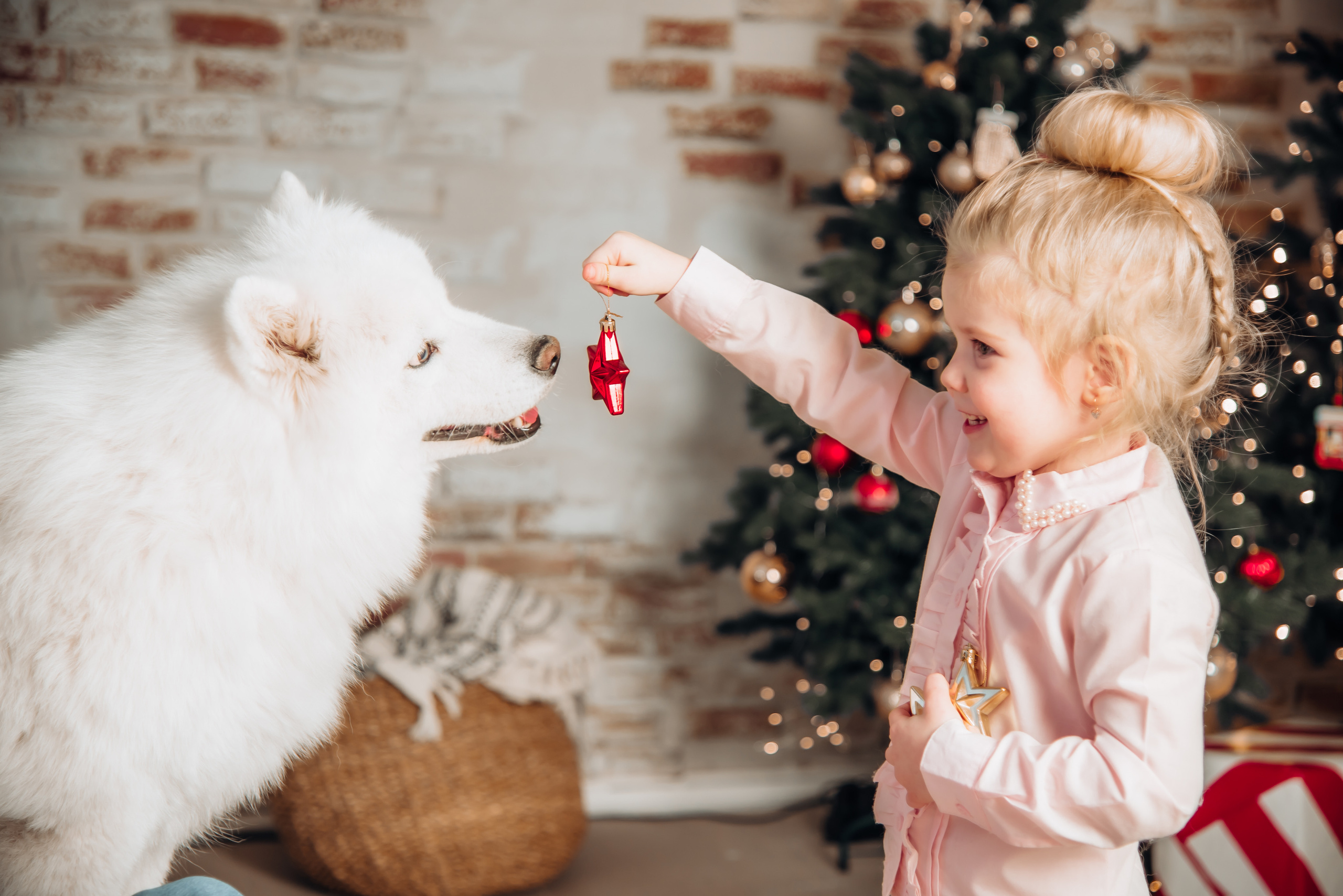 Тепло родного дома. Фотограф Красноярск Машкина Татьяна