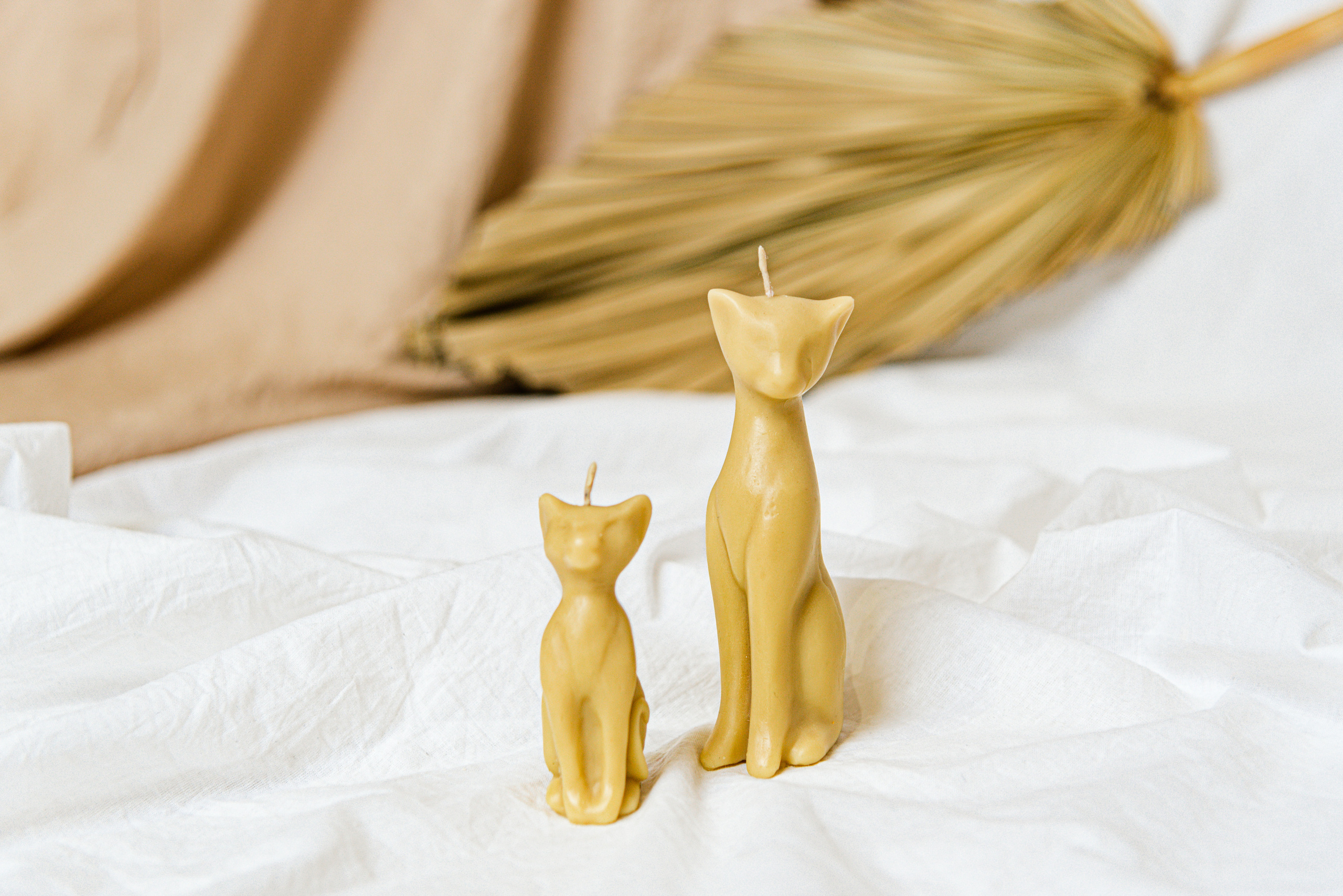 Предметная съёмка. Фотограф Красноярск Машкина Татьяна