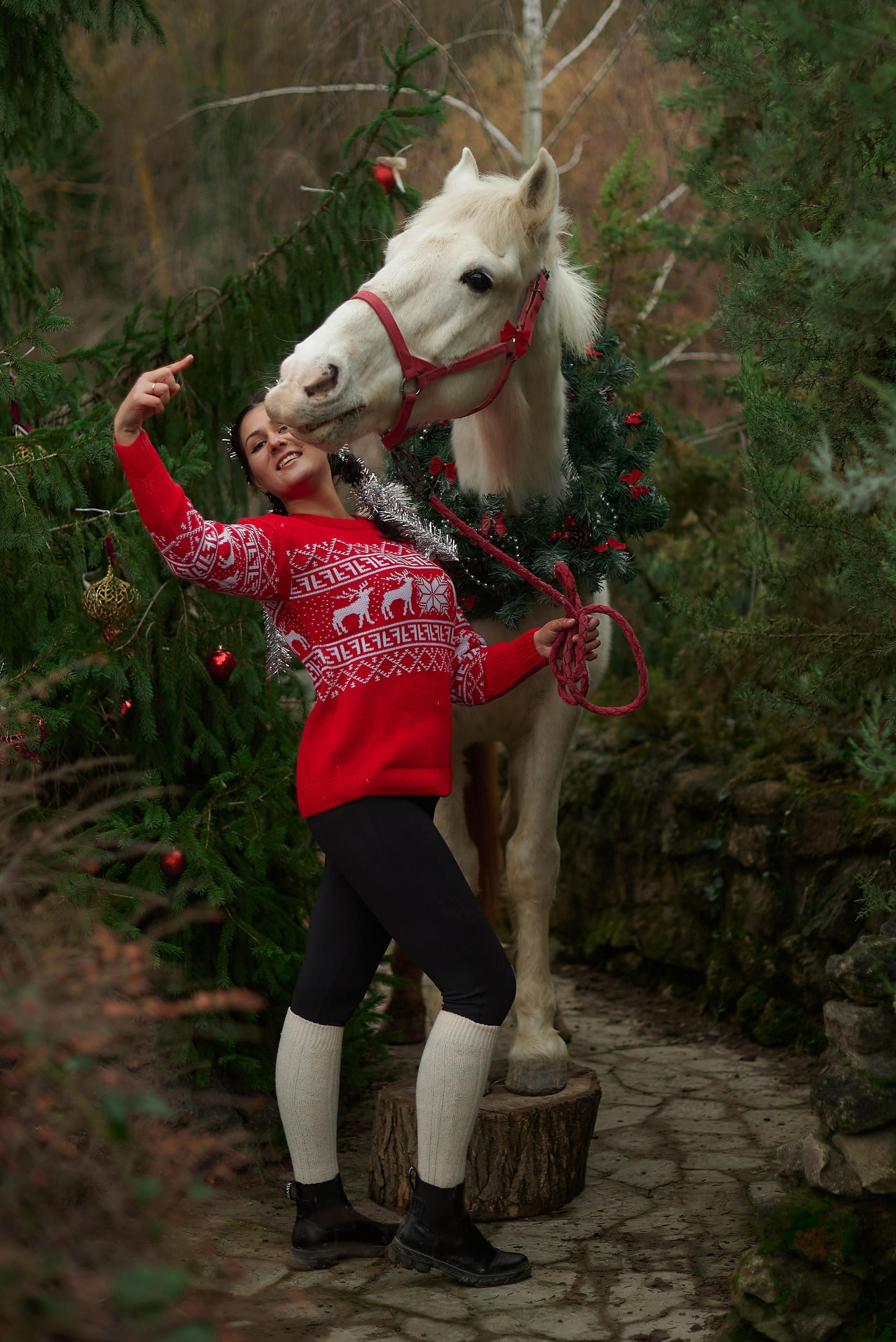 Диана, Гром и Мандаринка. Фотограф в Севастополе