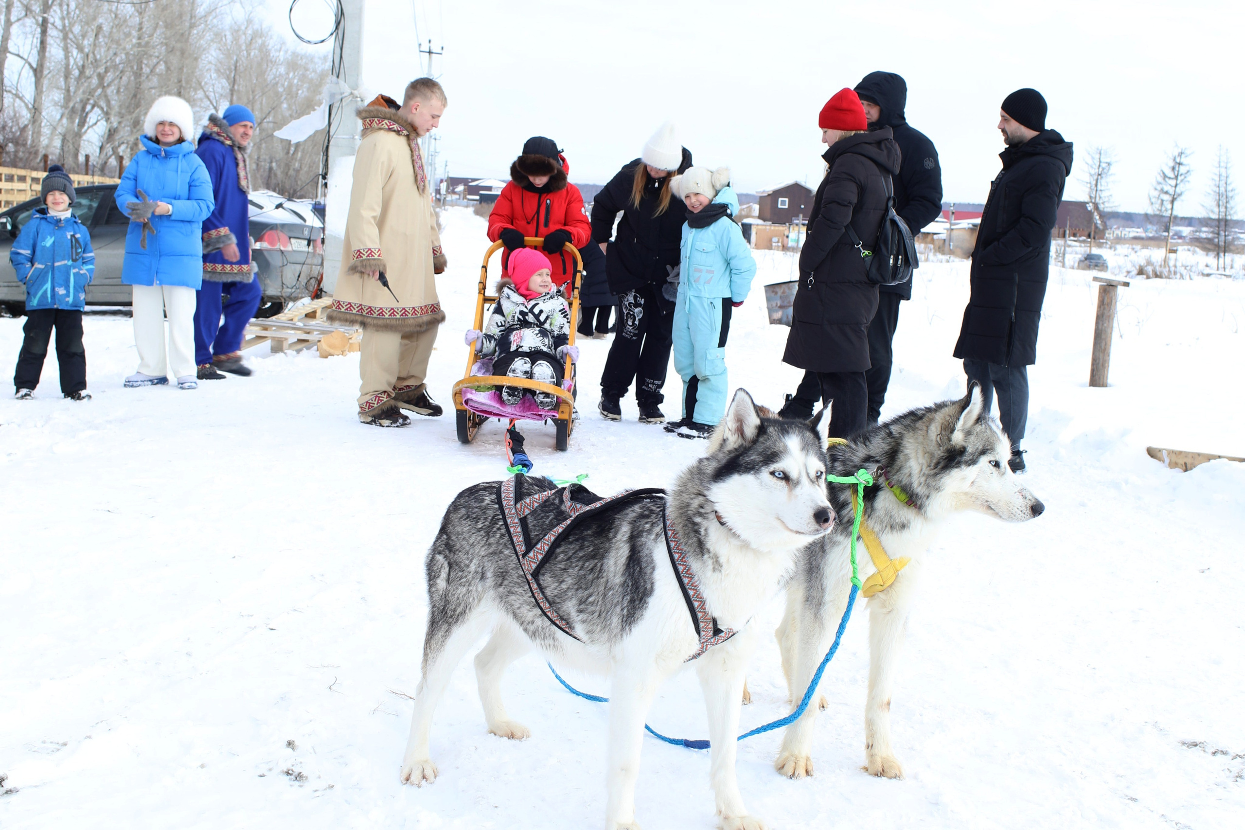 Наши партнеры. Иволга74