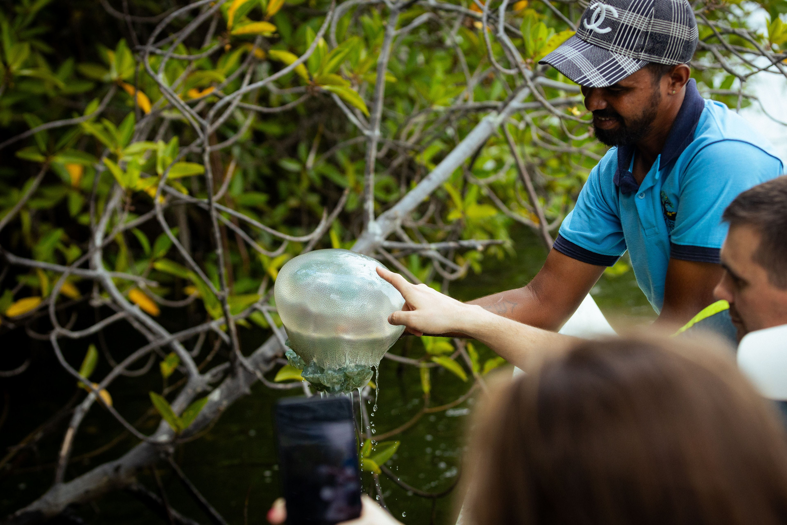 Шри-Ланка (весна 2024). Фотограф Виноградов Константин