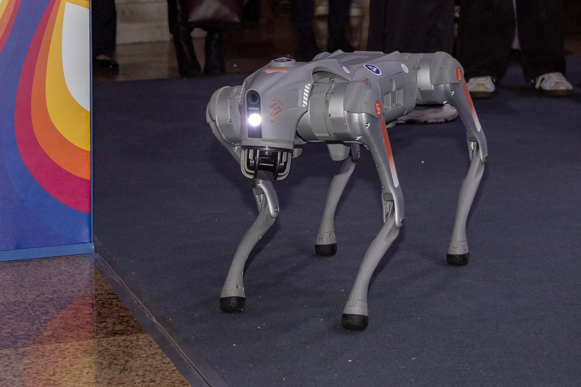 Фестиваль «Наука 0+». Фотосессии и репортаж — Фотограф в Москве — Рина Серёгина