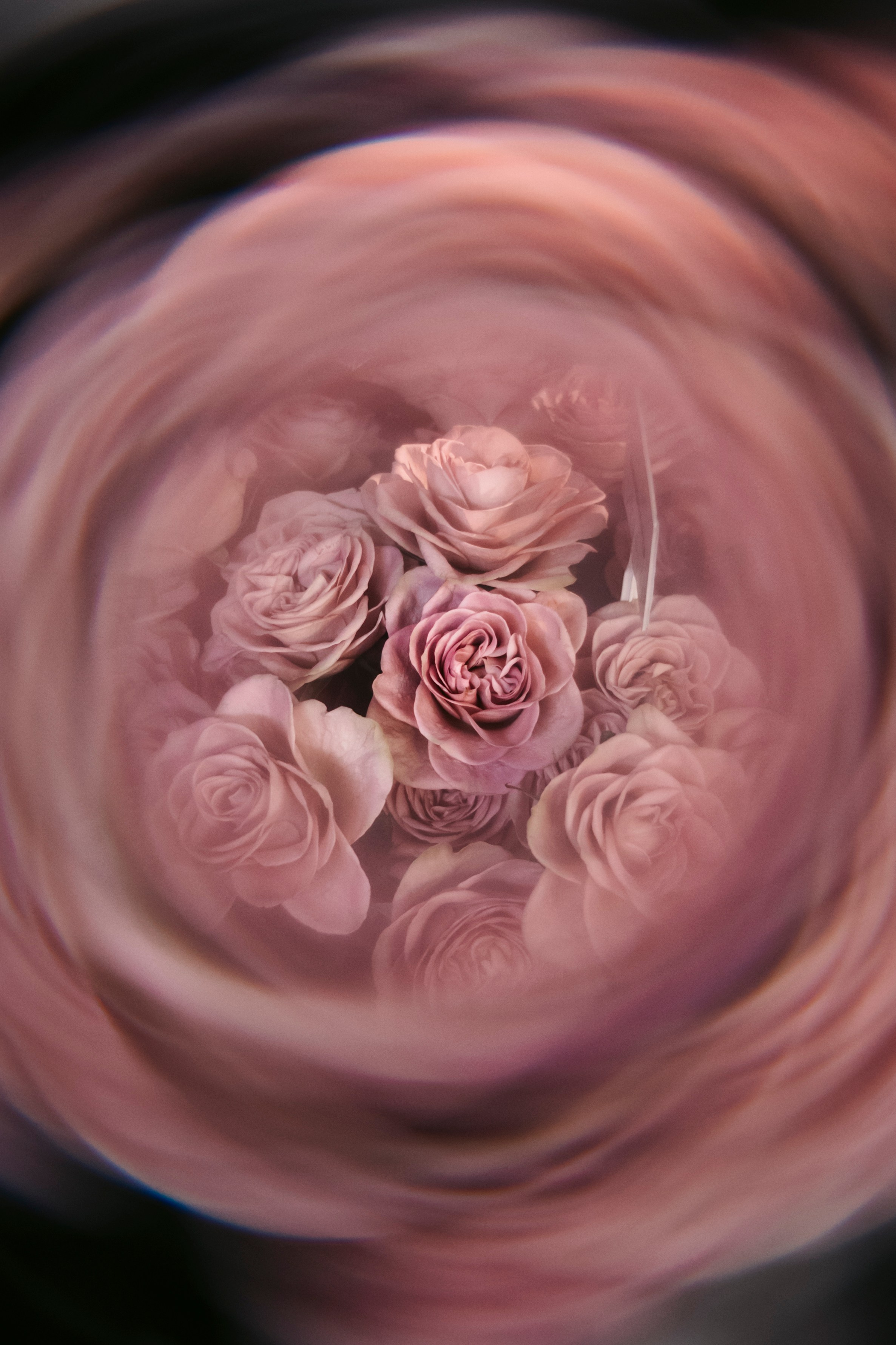 Цветочный андеграунд. Главная