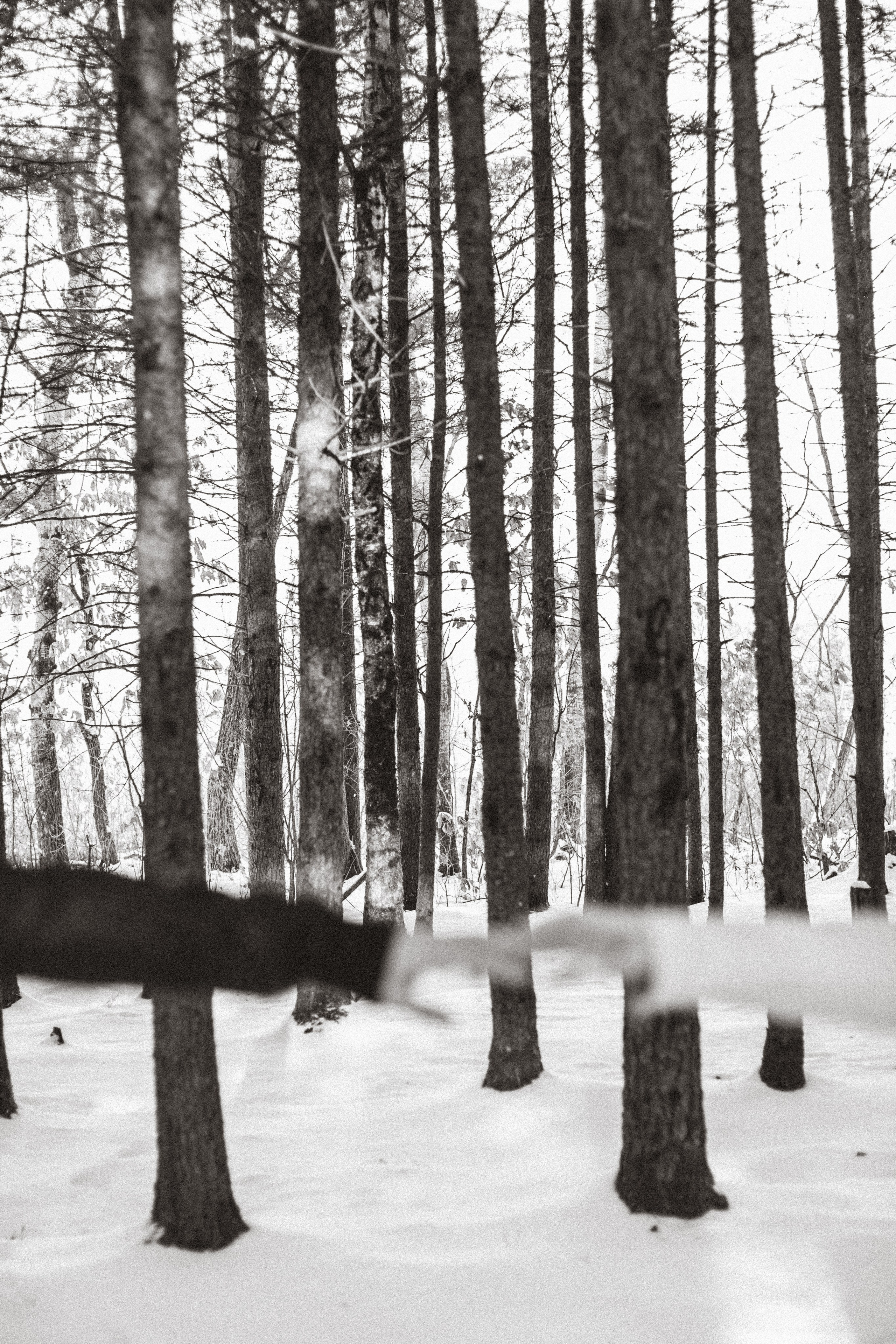 «Про любовь». Lifestyle фотограф в Хабаровске Елена