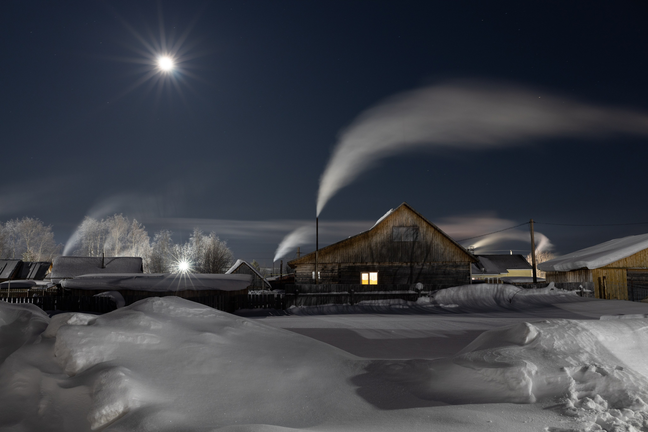 Земля кошачьего локотка (2025). Документальный фотограф Зданович Антон