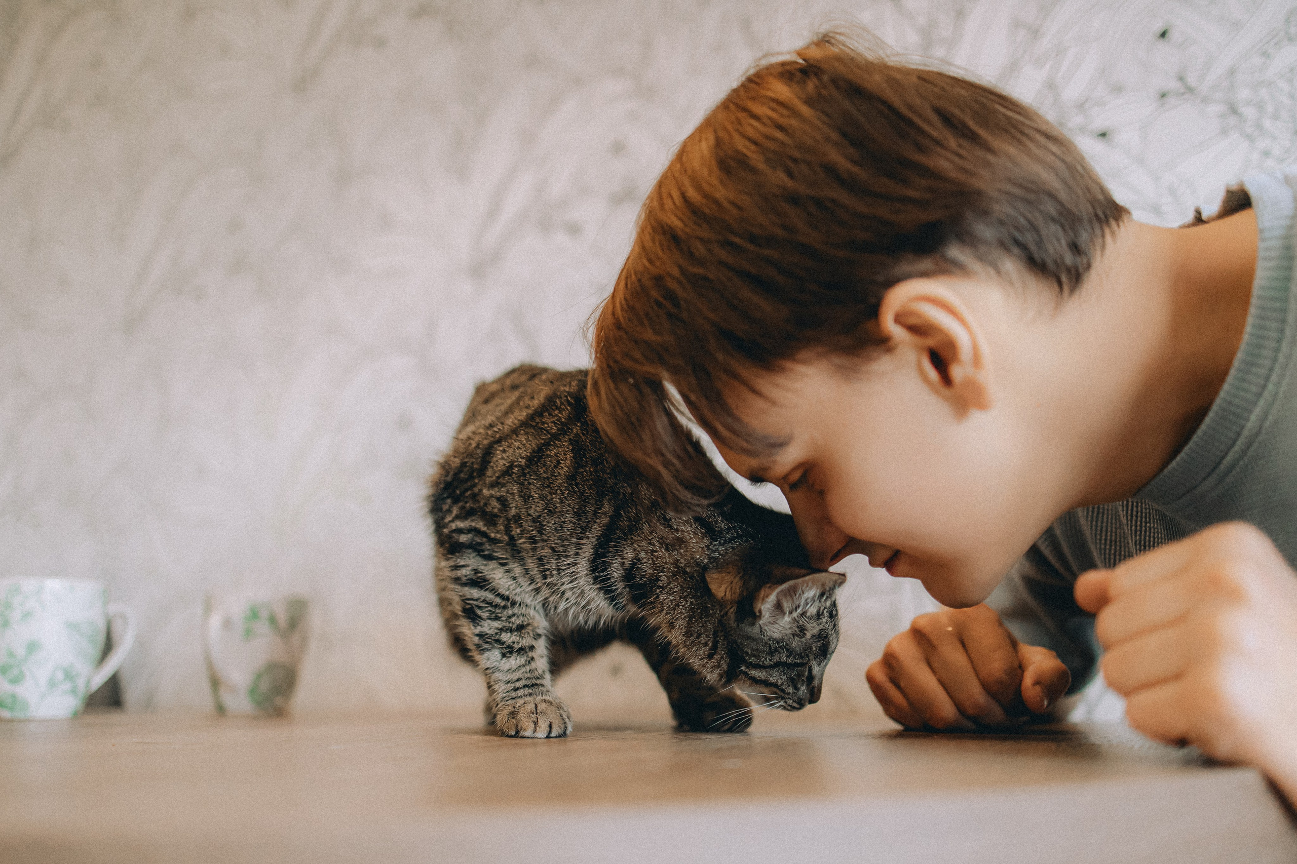 Рыся, Кепа и их семья