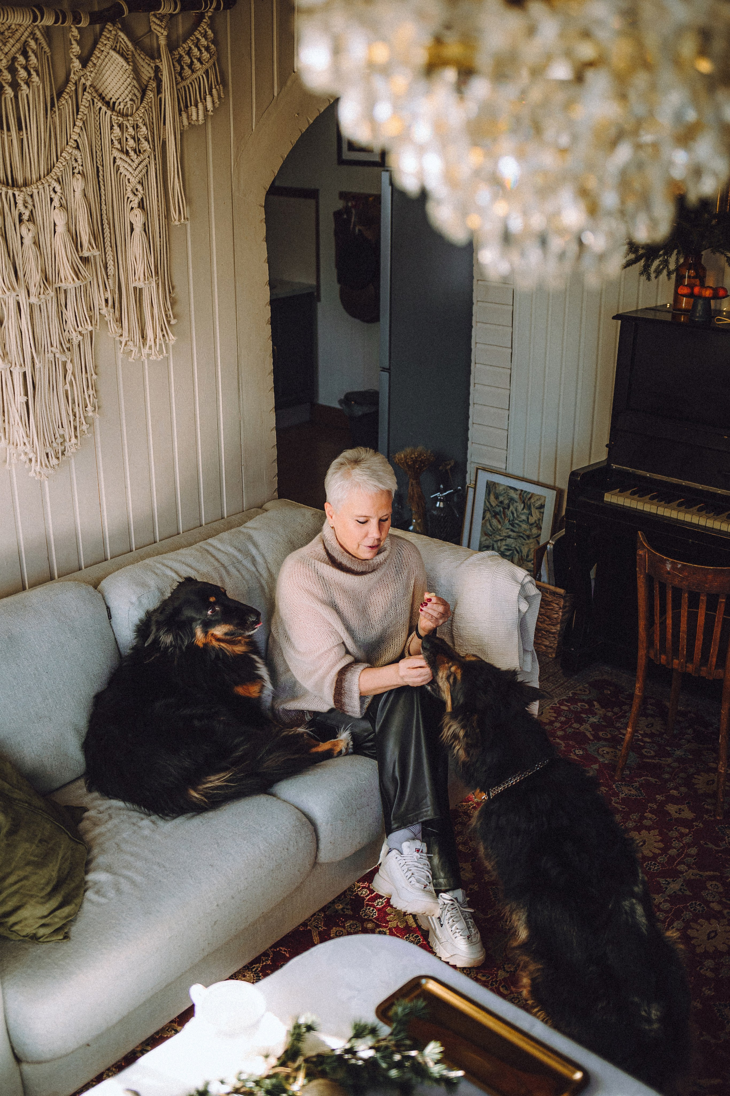 Плюш, Айса и их семья