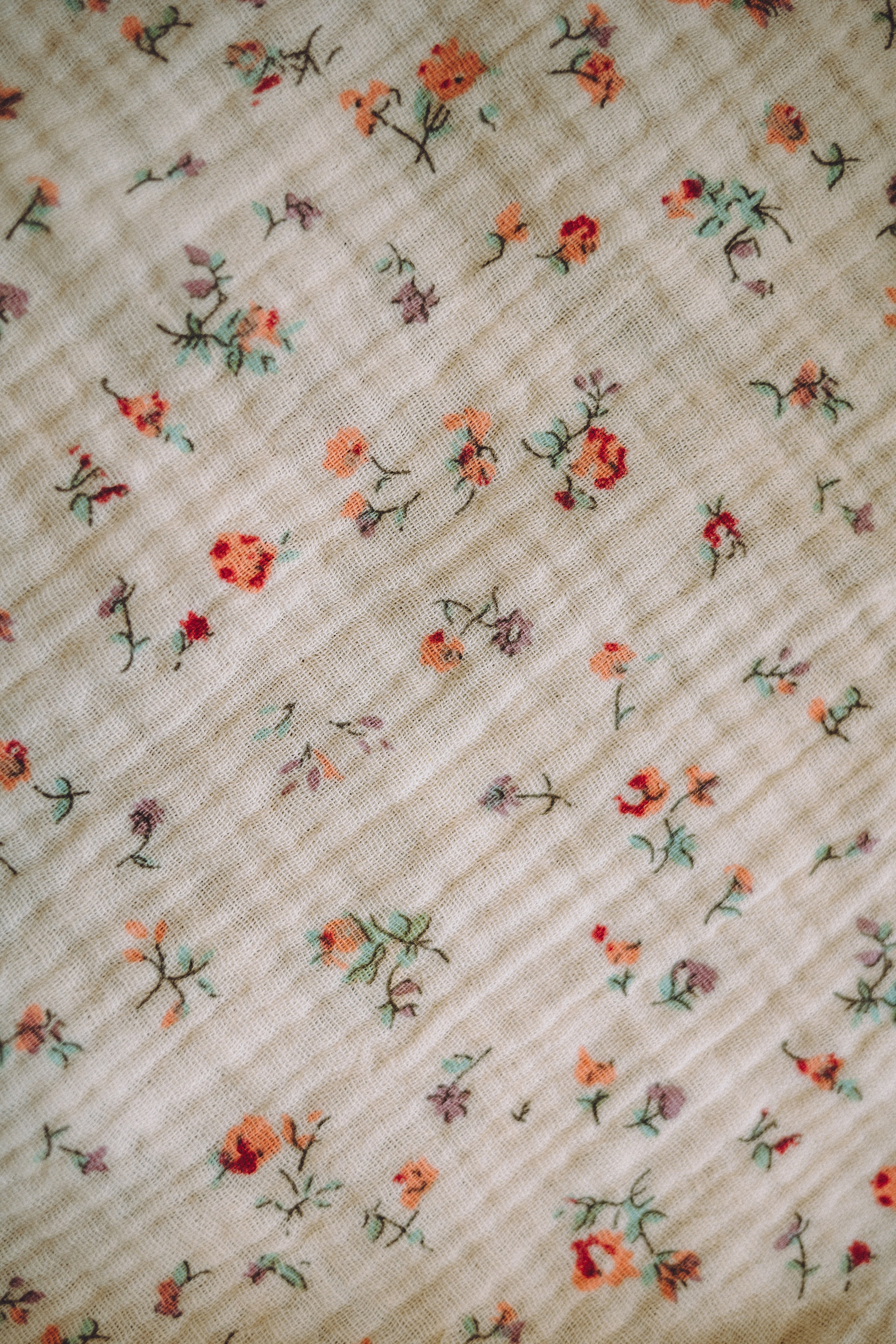 День Рождения пуделя Глаши