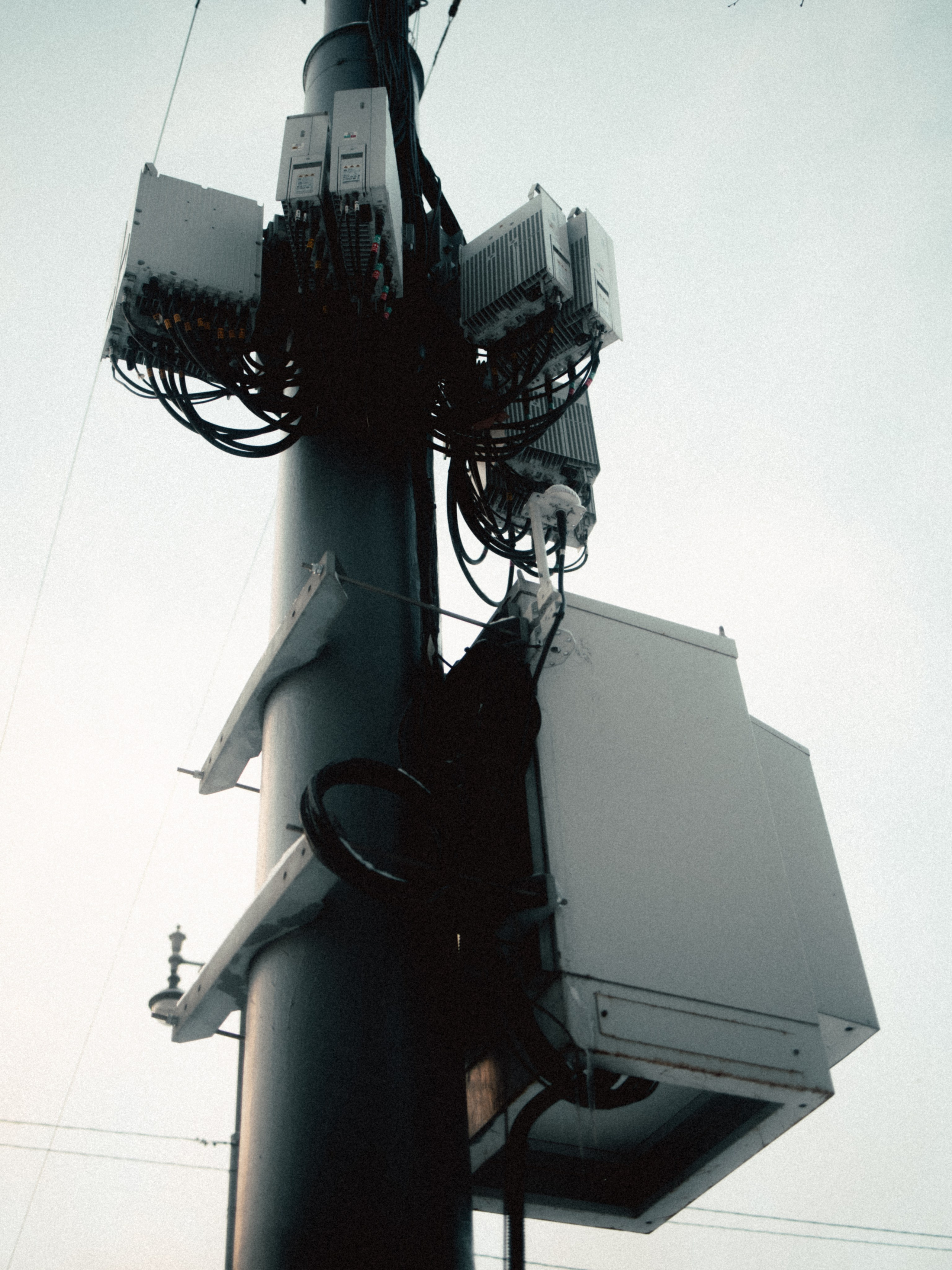 Маршрут ветеранов — электросила. Анна Мильч