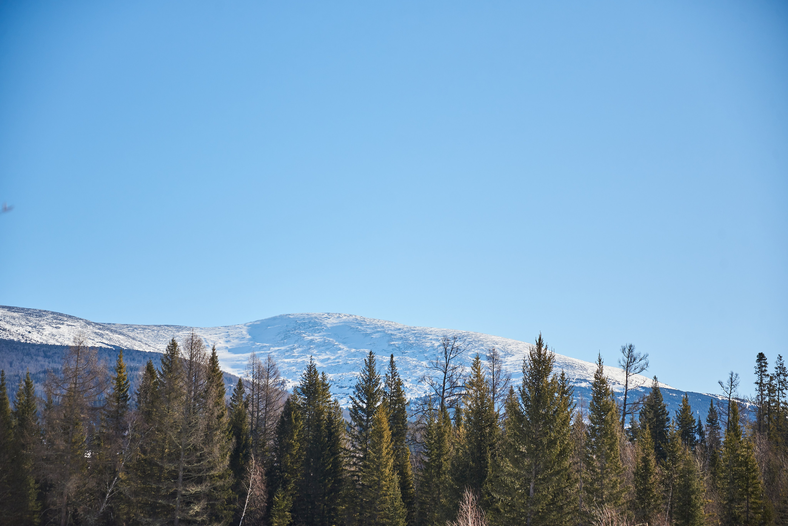 Сны Алтая. Семейный фотограф в Барнаул/Горный Алтай, Аренда дома в горах
