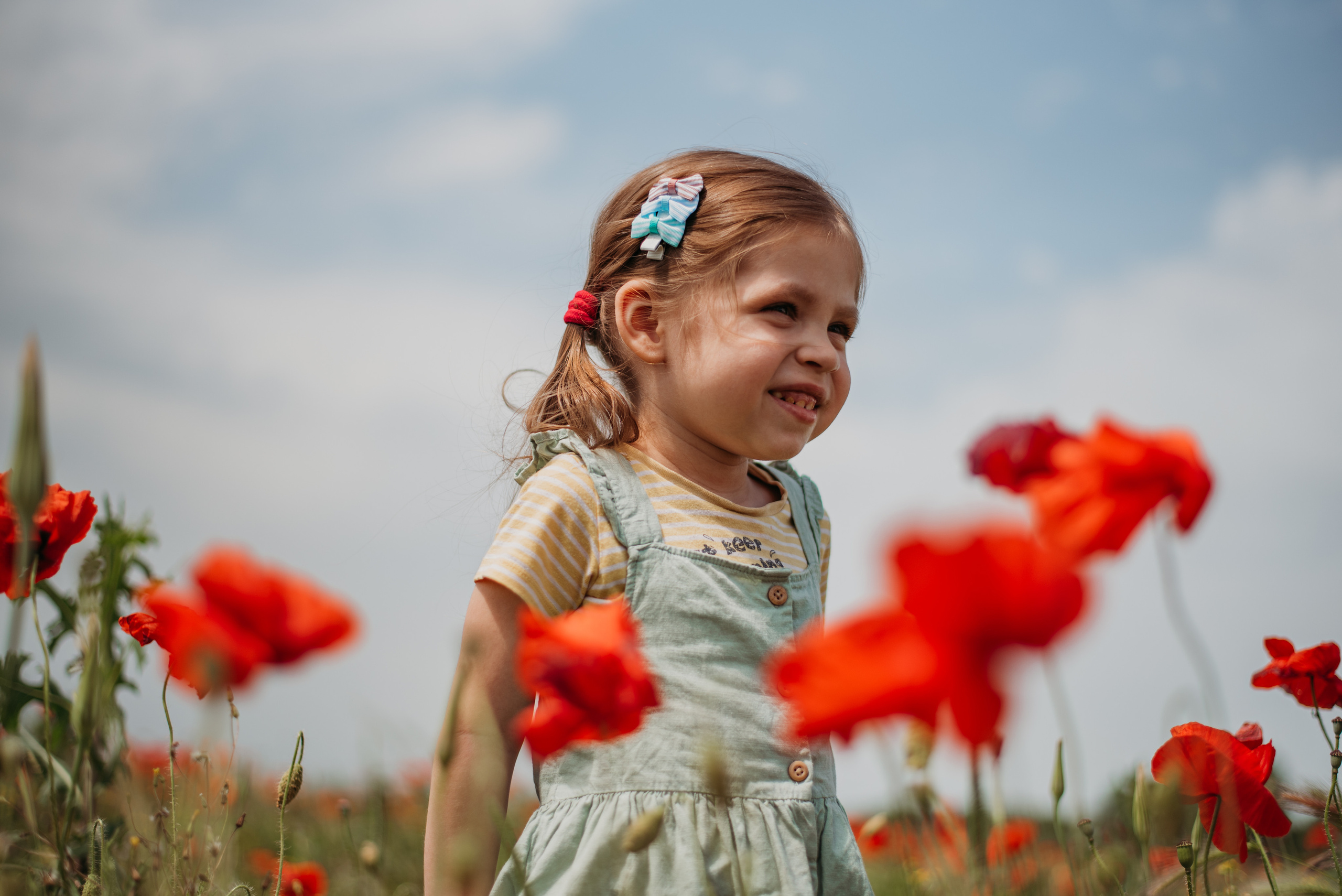 Маки. Семейный фотограф СПб