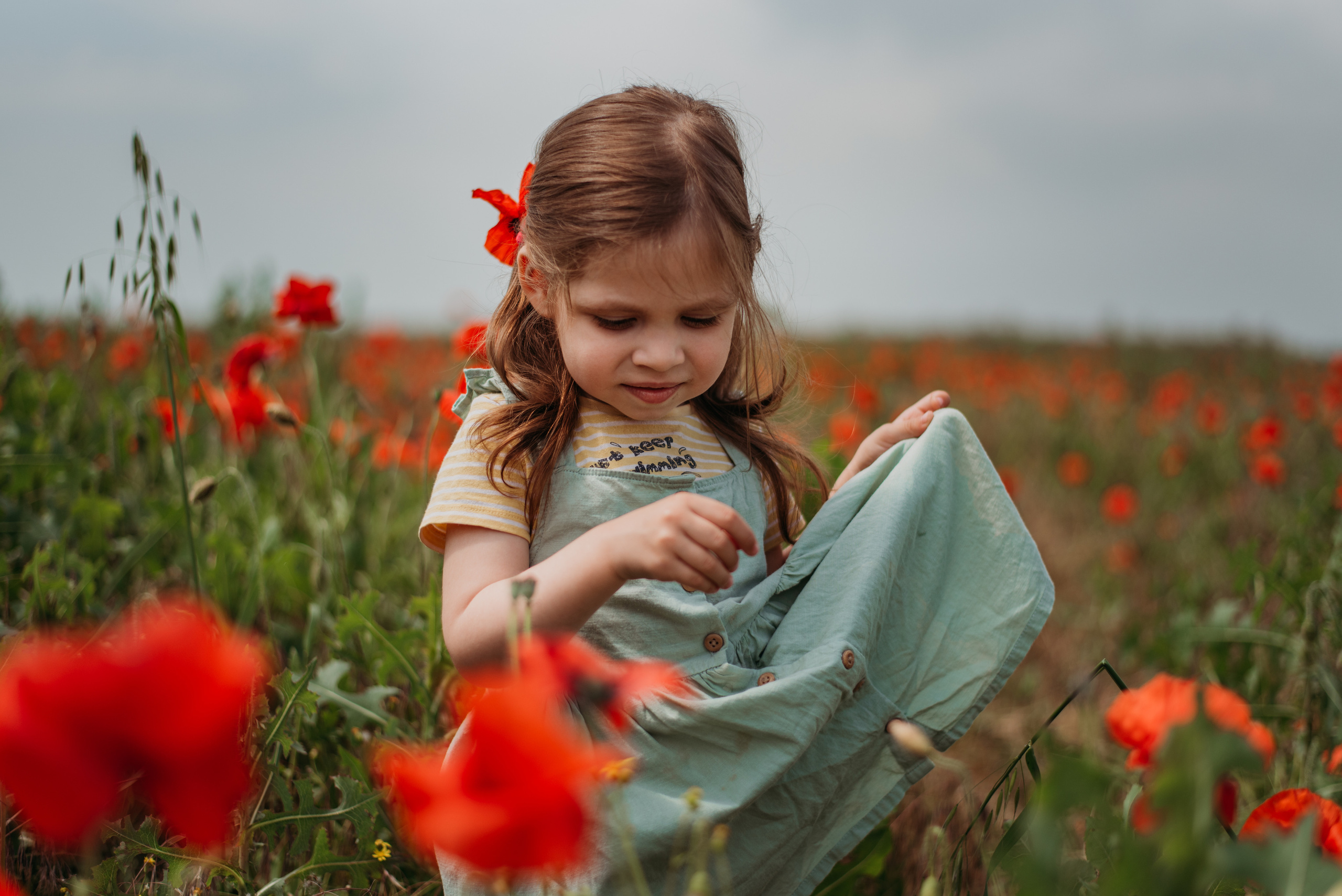 Маки. Семейный фотограф СПб
