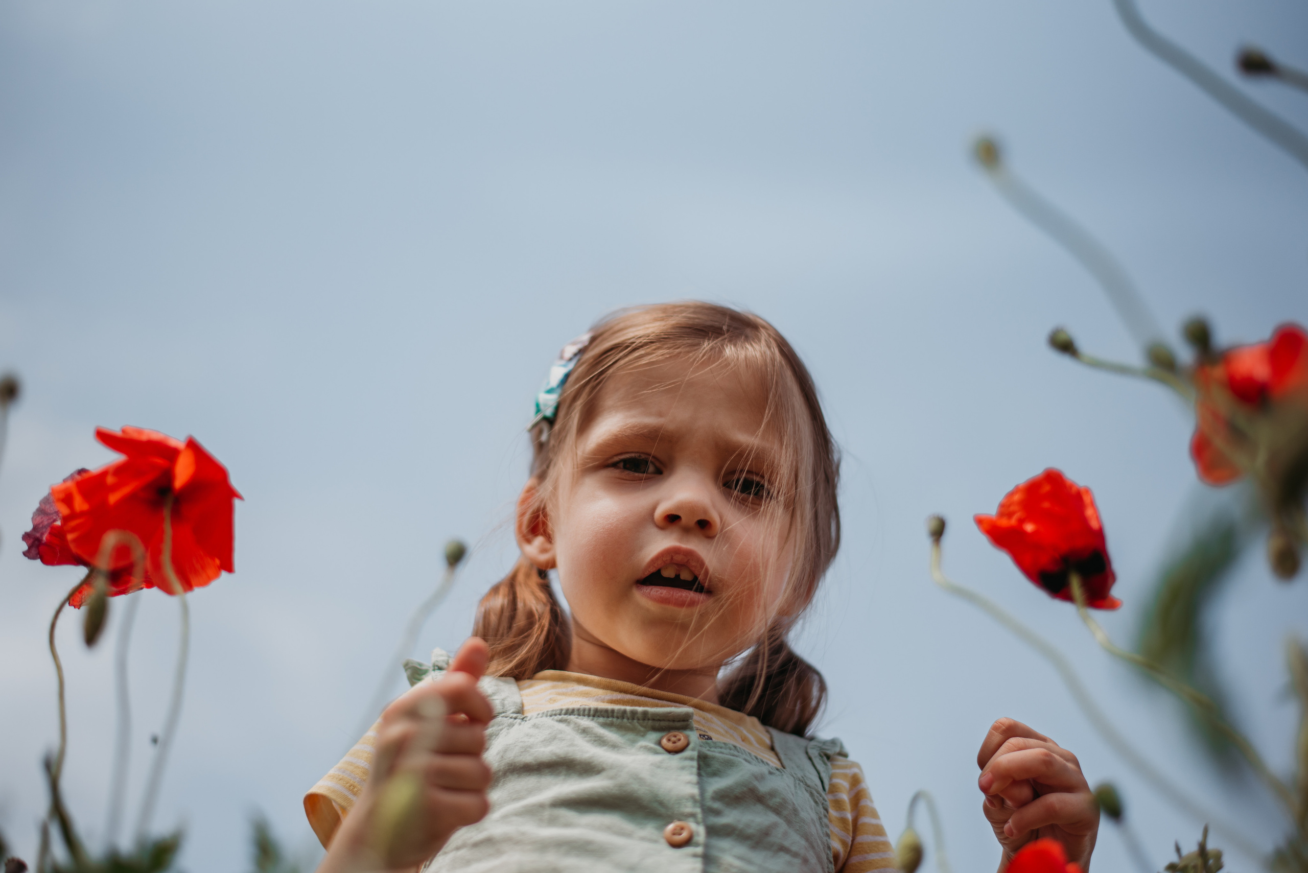 Маки. Семейный фотограф СПб