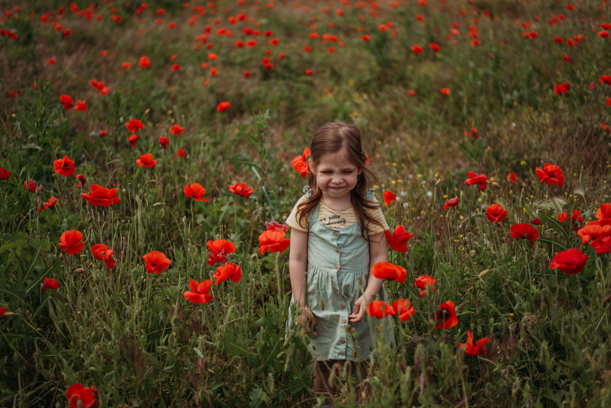 Маки. Семейный фотограф СПб