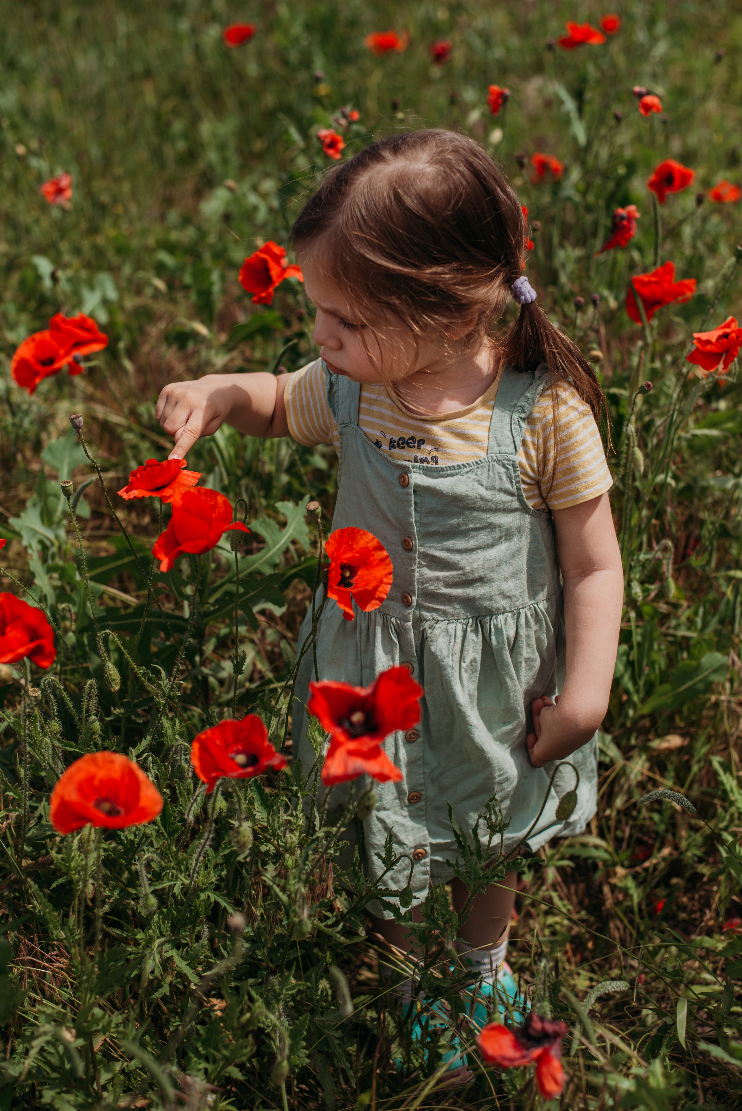Маки. Семейный фотограф СПб